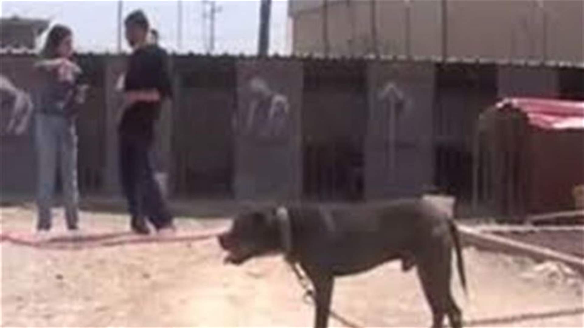 حمود أحال قضية وفاة الطفل مايكل كاسوحة لقسم المباحث الجنائية المركزية