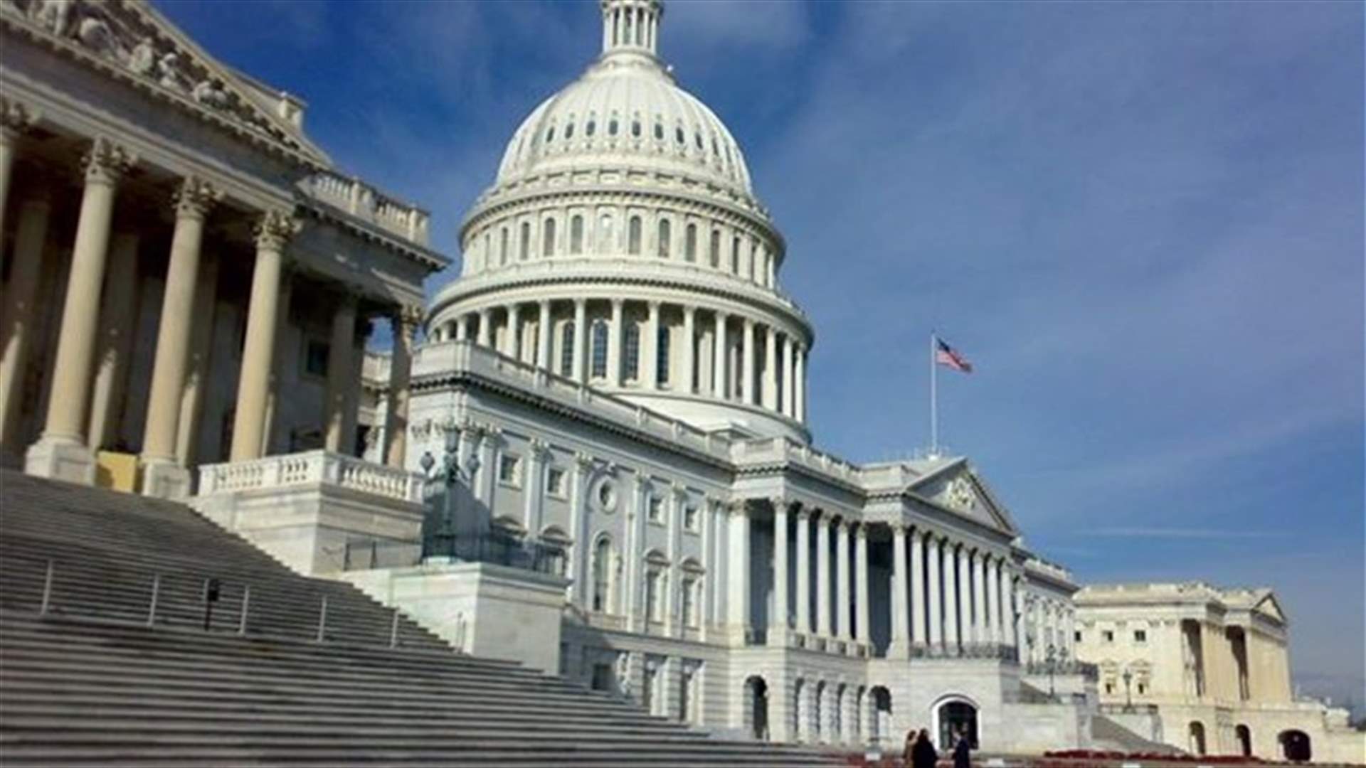US senators call for humanitarian safe zones in Syria