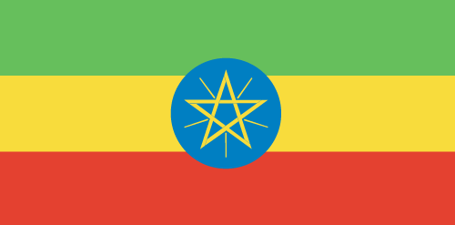 Ethiopians mourn Libya killings at rally, scuffles erupt
