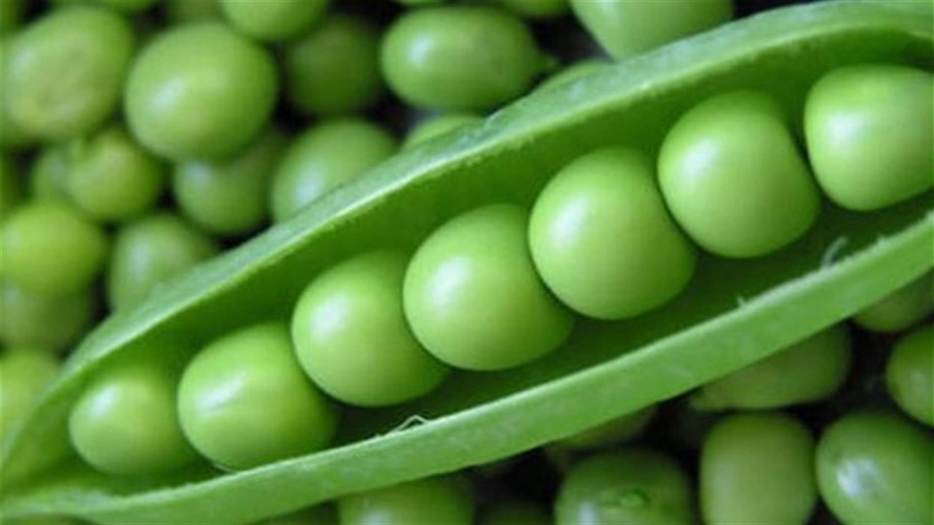 احذروا التسمم 