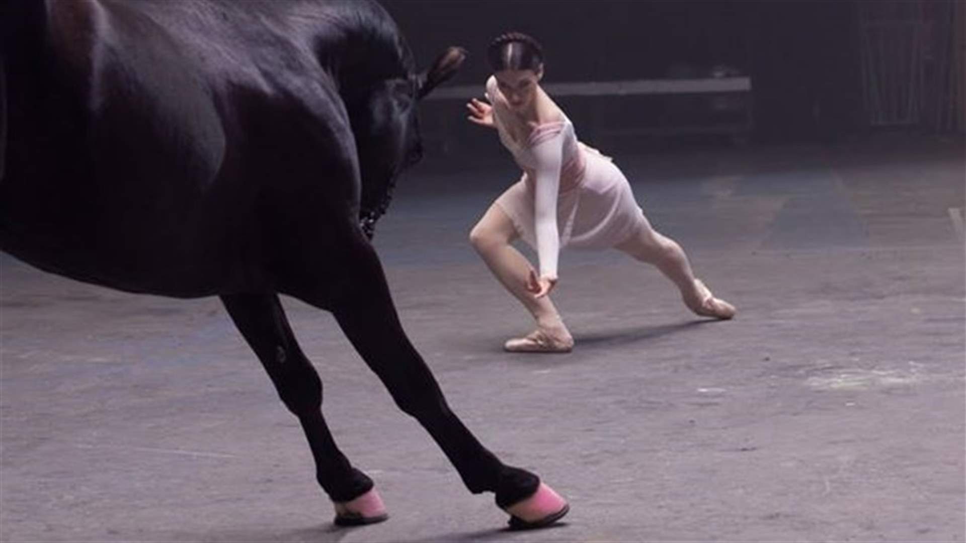 [VIDEO] Ballerina Starts To Dance, Horse Replicates Her Moves In An Amazing Ad