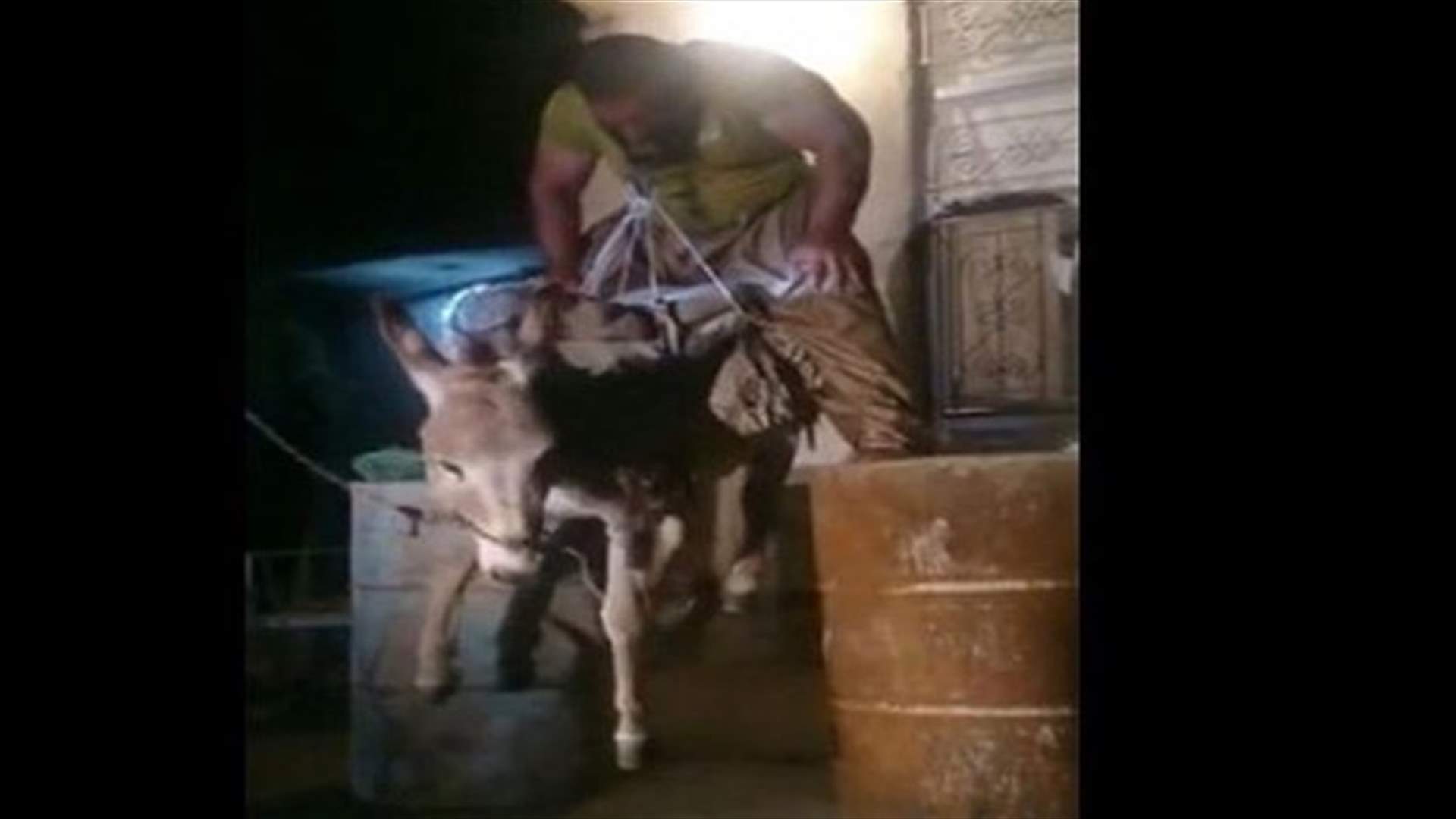 بالفيديو: رجل ذو قوة خارقة يحمل حماراً بأسنانه