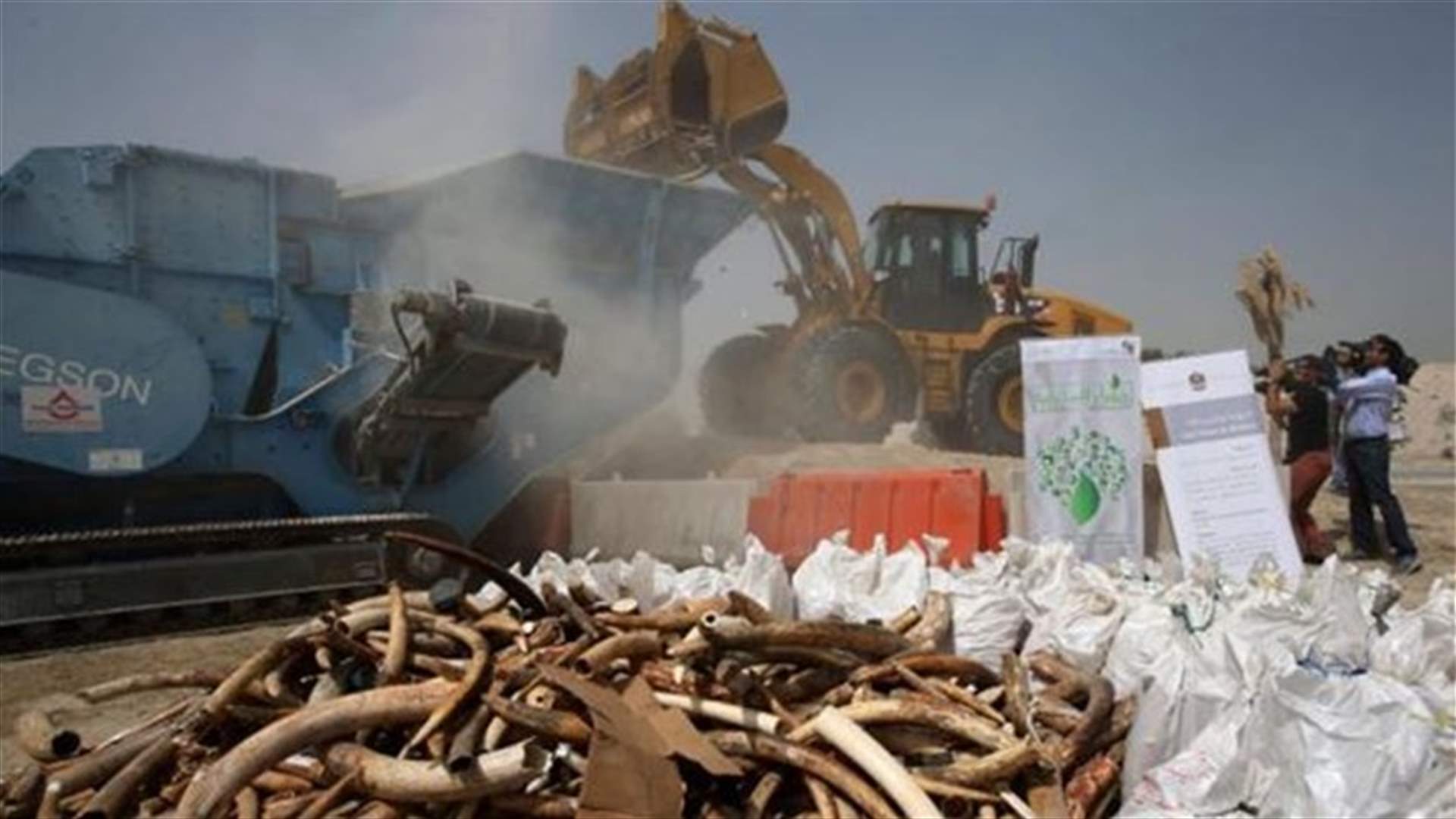 UAE crushes tons of contraband ivory in anti-poaching action