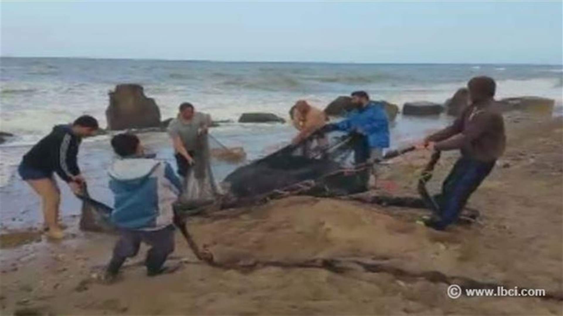 صيادو الأسماك في عكار يطلقون صرخة