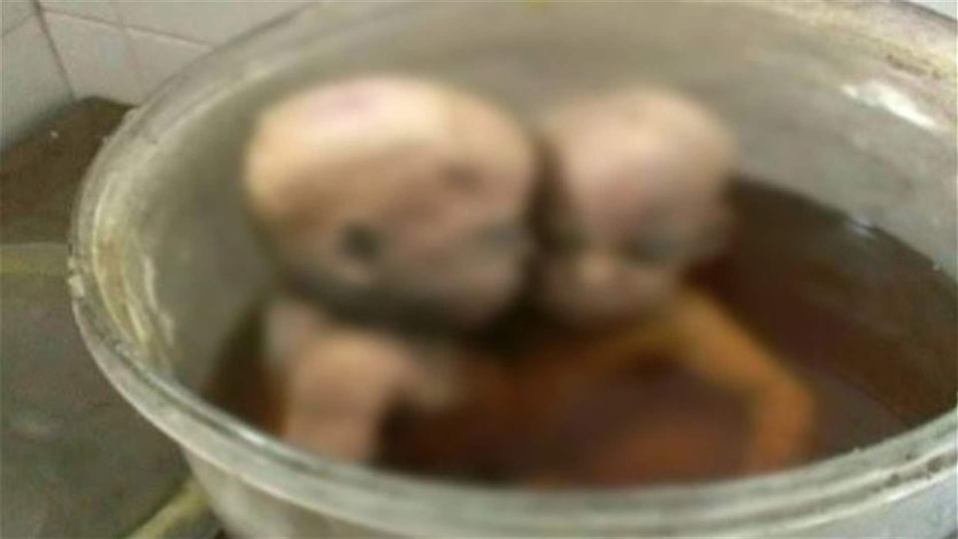 العثور على جثتي طفلين محفوظتين منذ 20 عاماً في صيدا