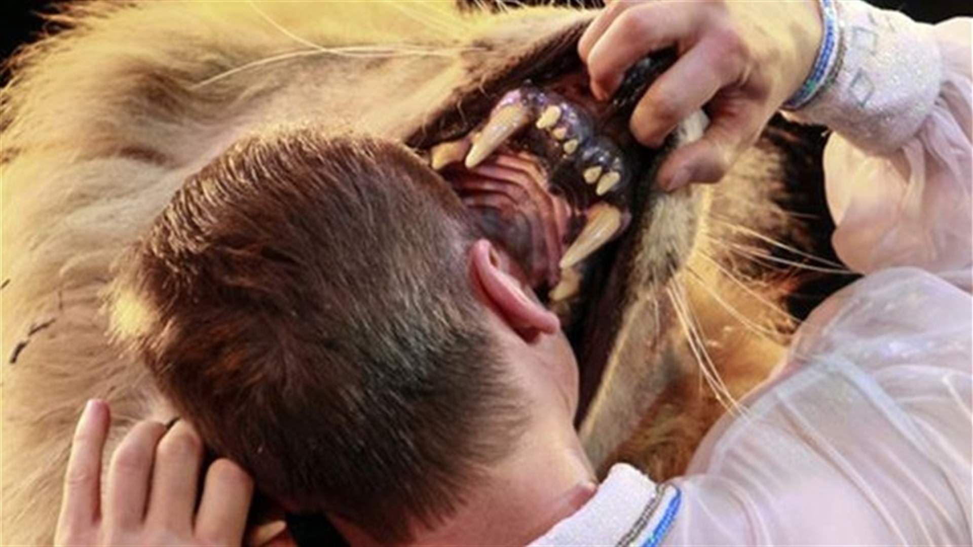 بالصور: الشجاعة.. على حافة الموت