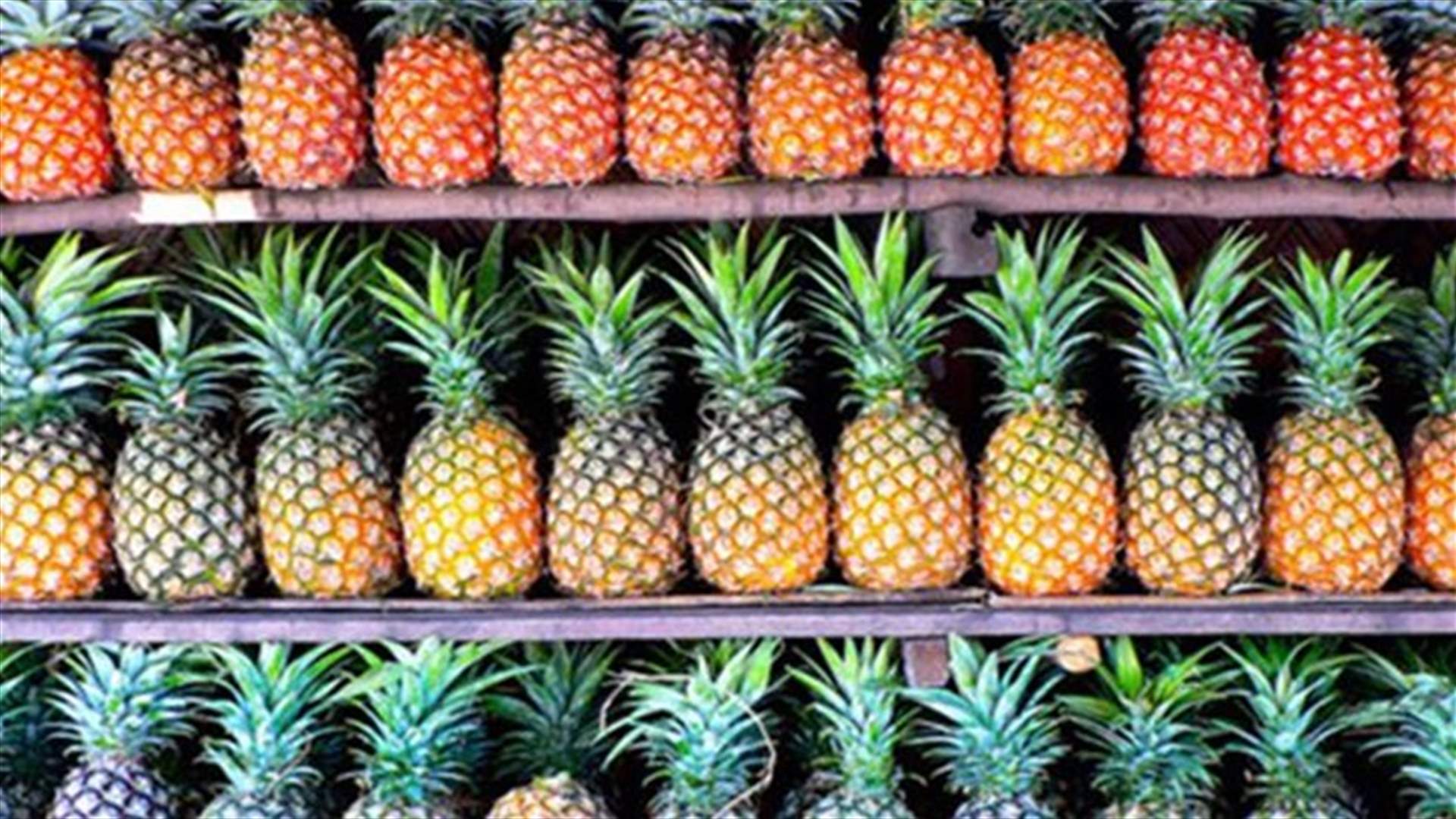 طريقة سهلة لزراعة ثمرة الاناناس في المنزل للتمتع بفوائدها الكثيرة