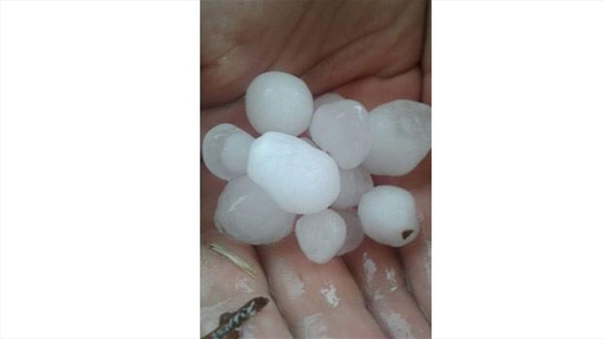 برَد أيار يتسبب بأضرار زراعية في البقاع الشمالي