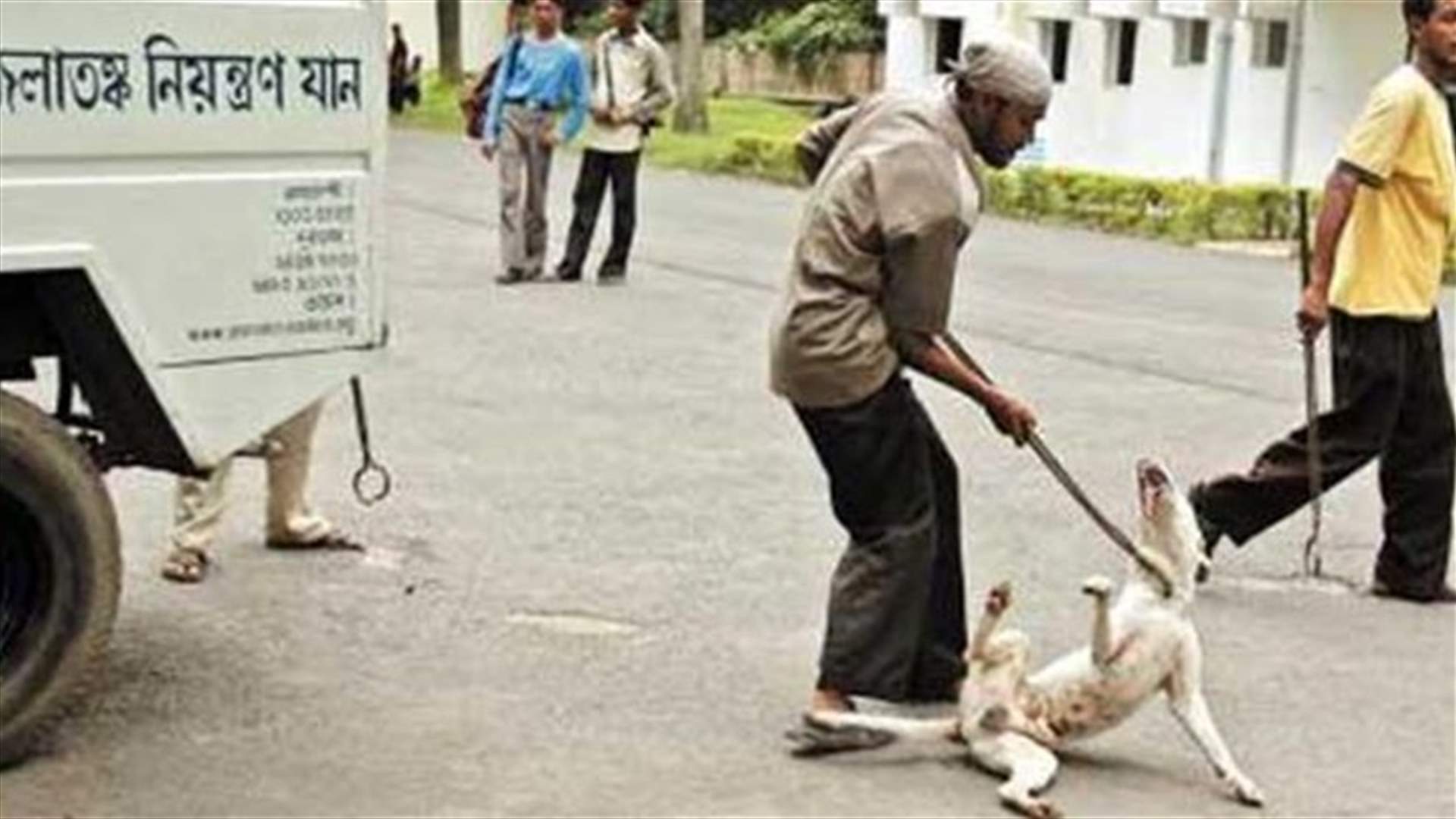 ضرب كلبه حتى الموت...فسجن