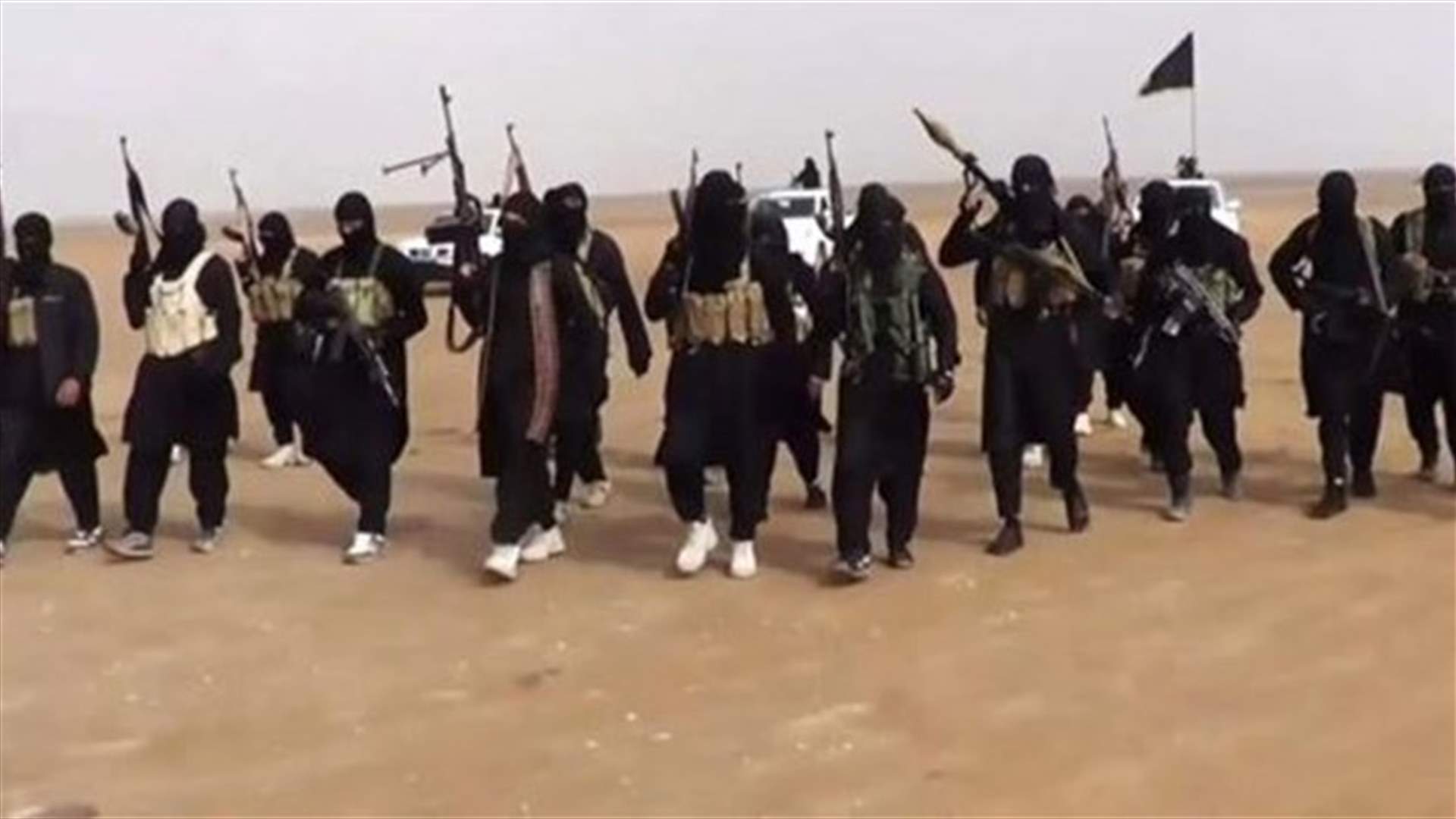 داعش على بعد كيلومترين من مدينة تدمر الاثرية