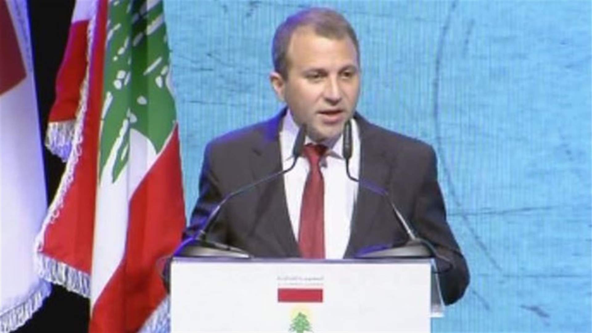 Bassil stresses need to approve law on restoration of nationality of Lebanese expats