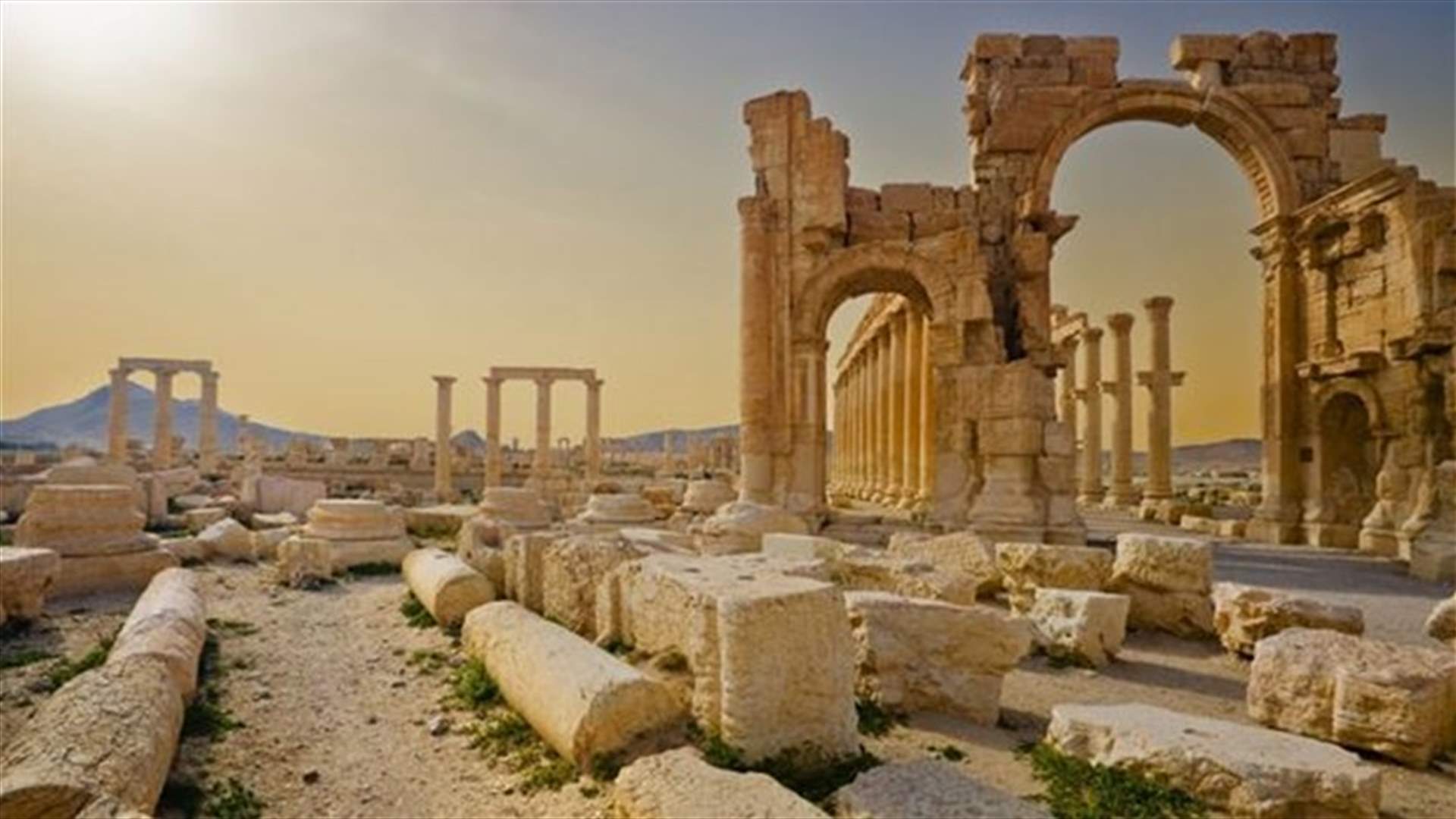 Islamic State raises flag over citadel in Syria's Palmyra -supporters