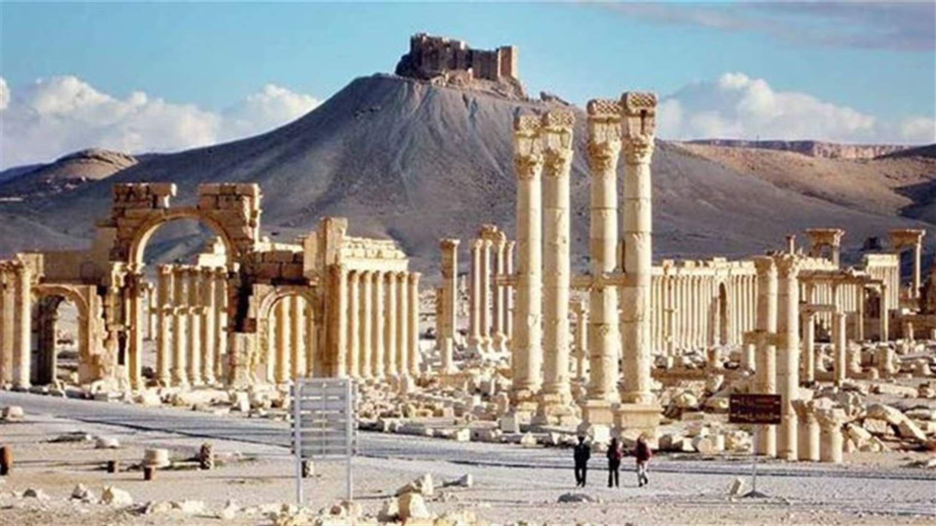 Palmyra ruins unharmed for now -Syria antiquities chief