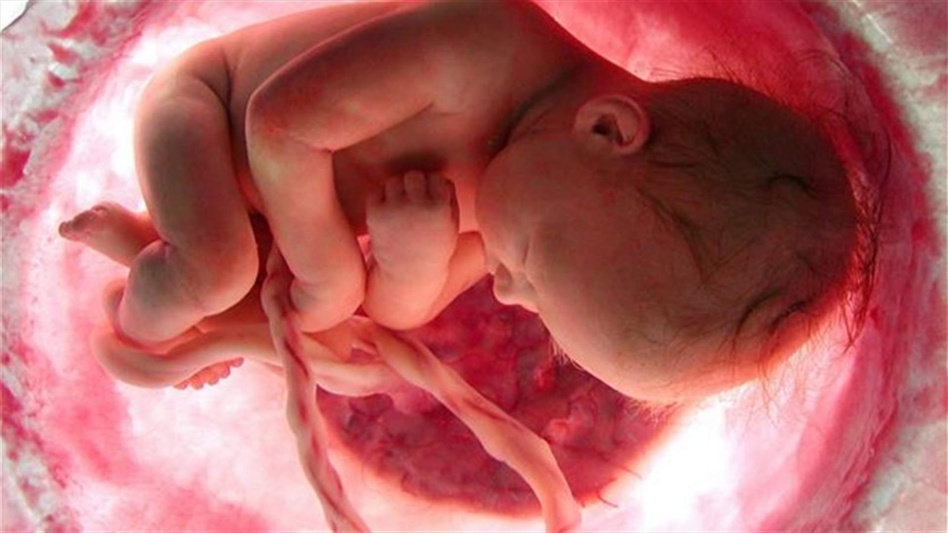 [VIDEO] Here’s How A Baby Develops Inside Its Mother’s Womb