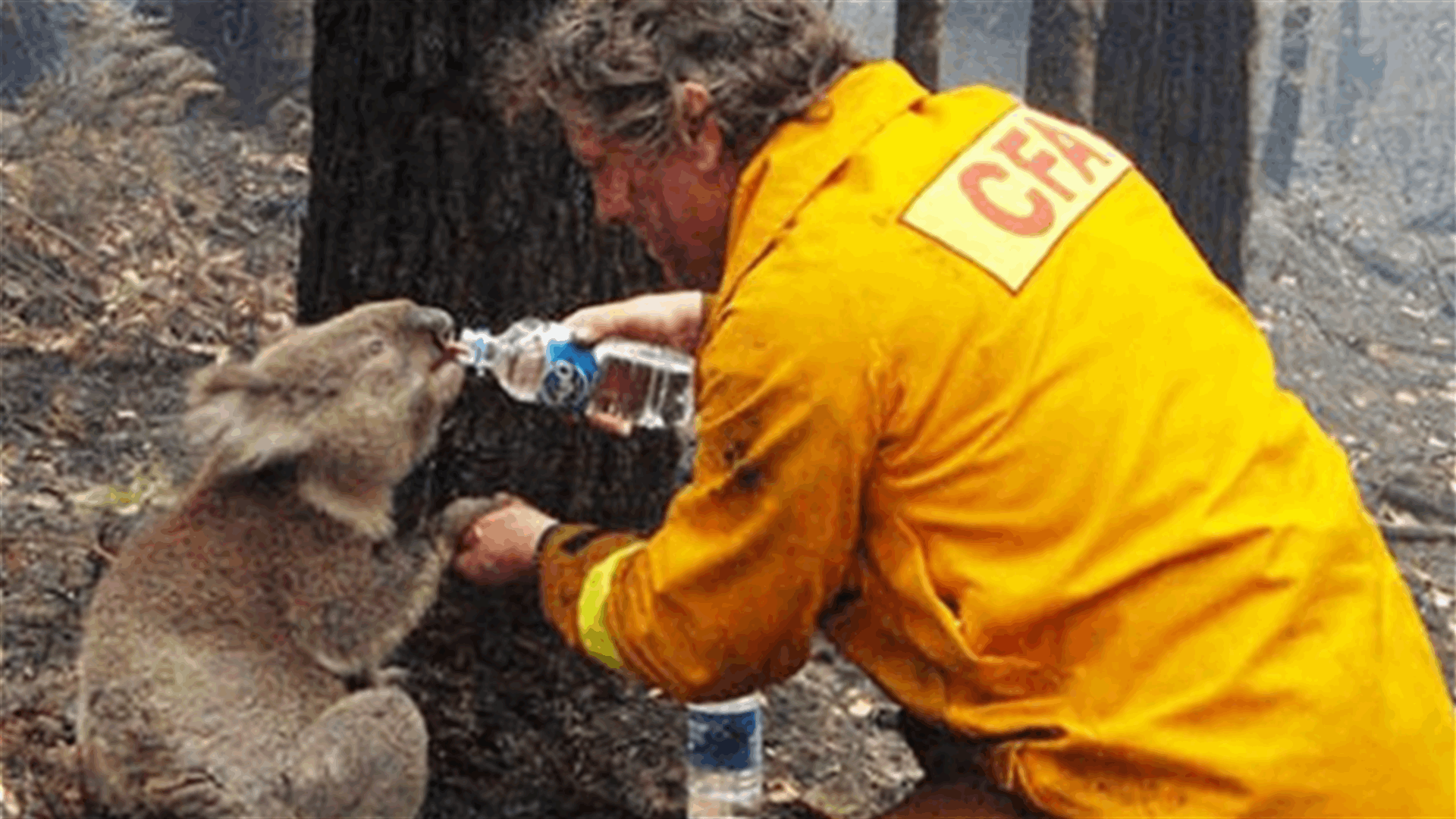 [VIDEO] When Humans Live Up To Their Name, Amazing Things Happen