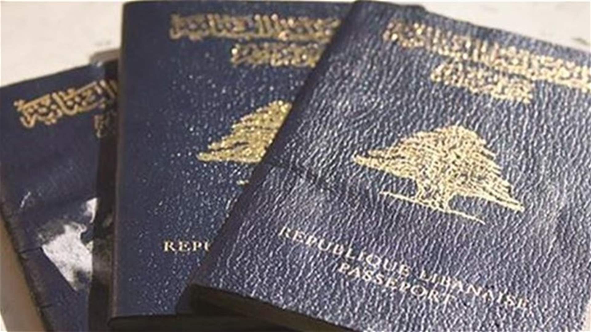هذه قصة جواز السفر "البيومتري".. وآلية هبة المليار دولار