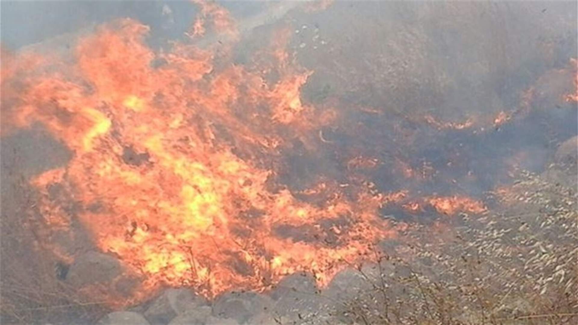 حريق في السنديانة التهم مساحات من بساتين القمح واشجارا حرجية