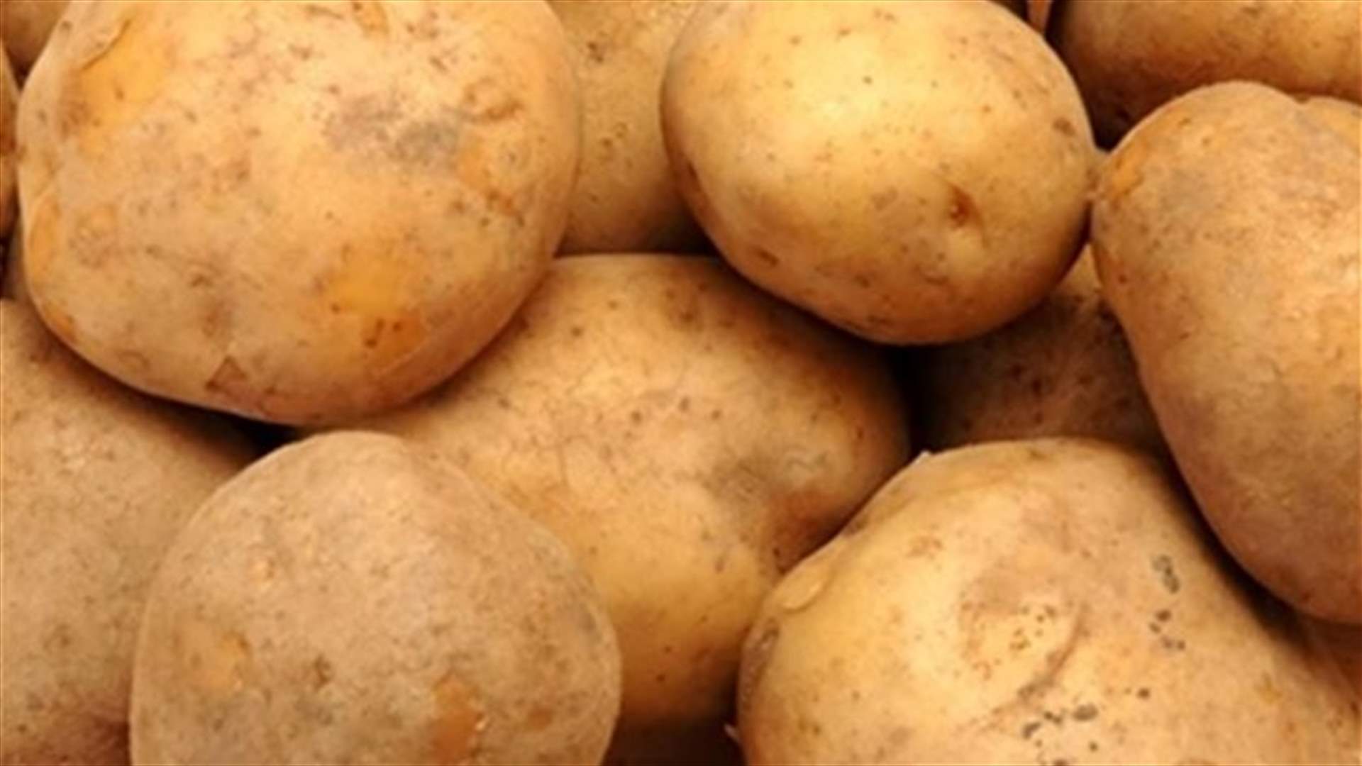 8 و14 آذار يتقاسمان التهريب