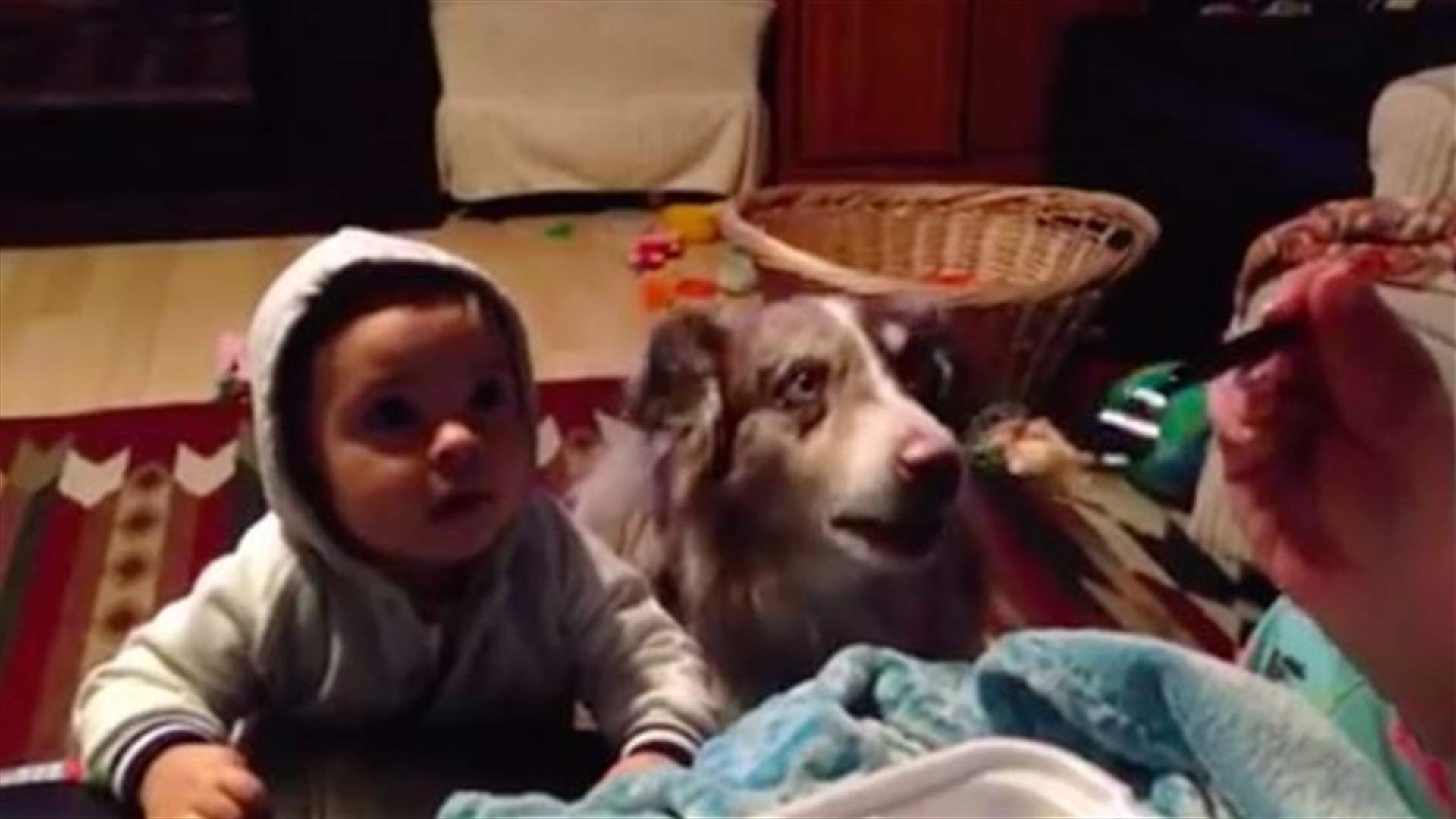 [VIDEO] Mom Tells Baby To Say 'Mama,' But Dog Does It First! 