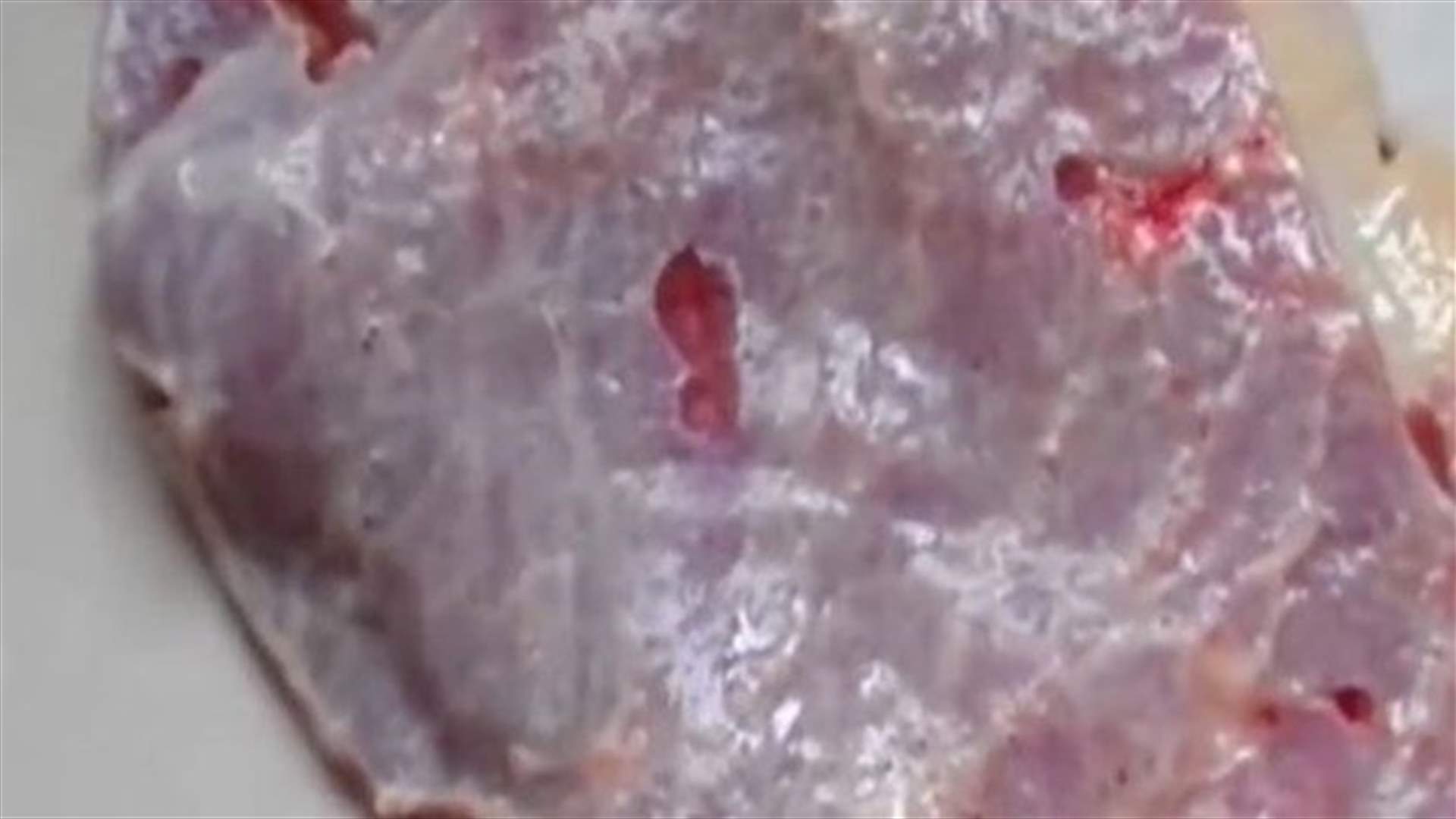 بالفيديو: قطعة من اللحم "تنبض" مثل قلب الإنسان!