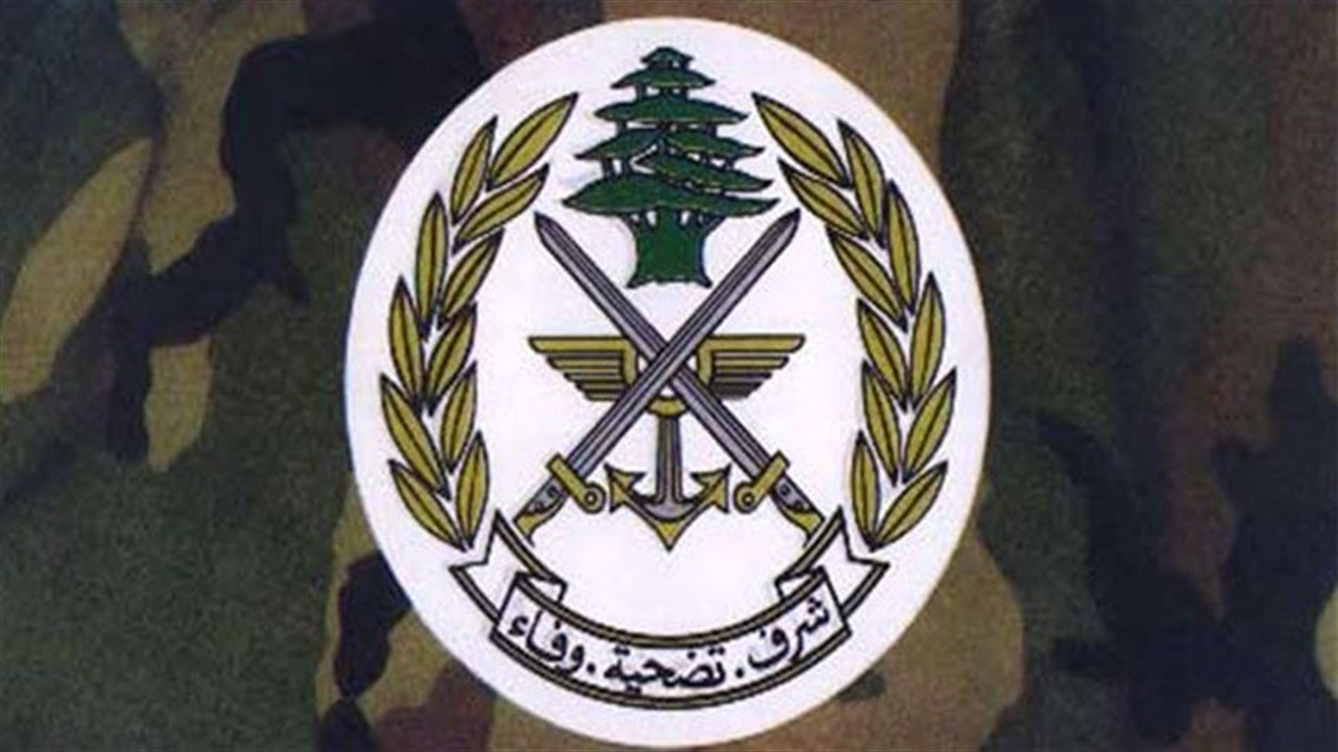 الجيش : توقيف لبناني لمحاولته ادخال سوري اعترف بانتمائه الى تنظيم ارهابي