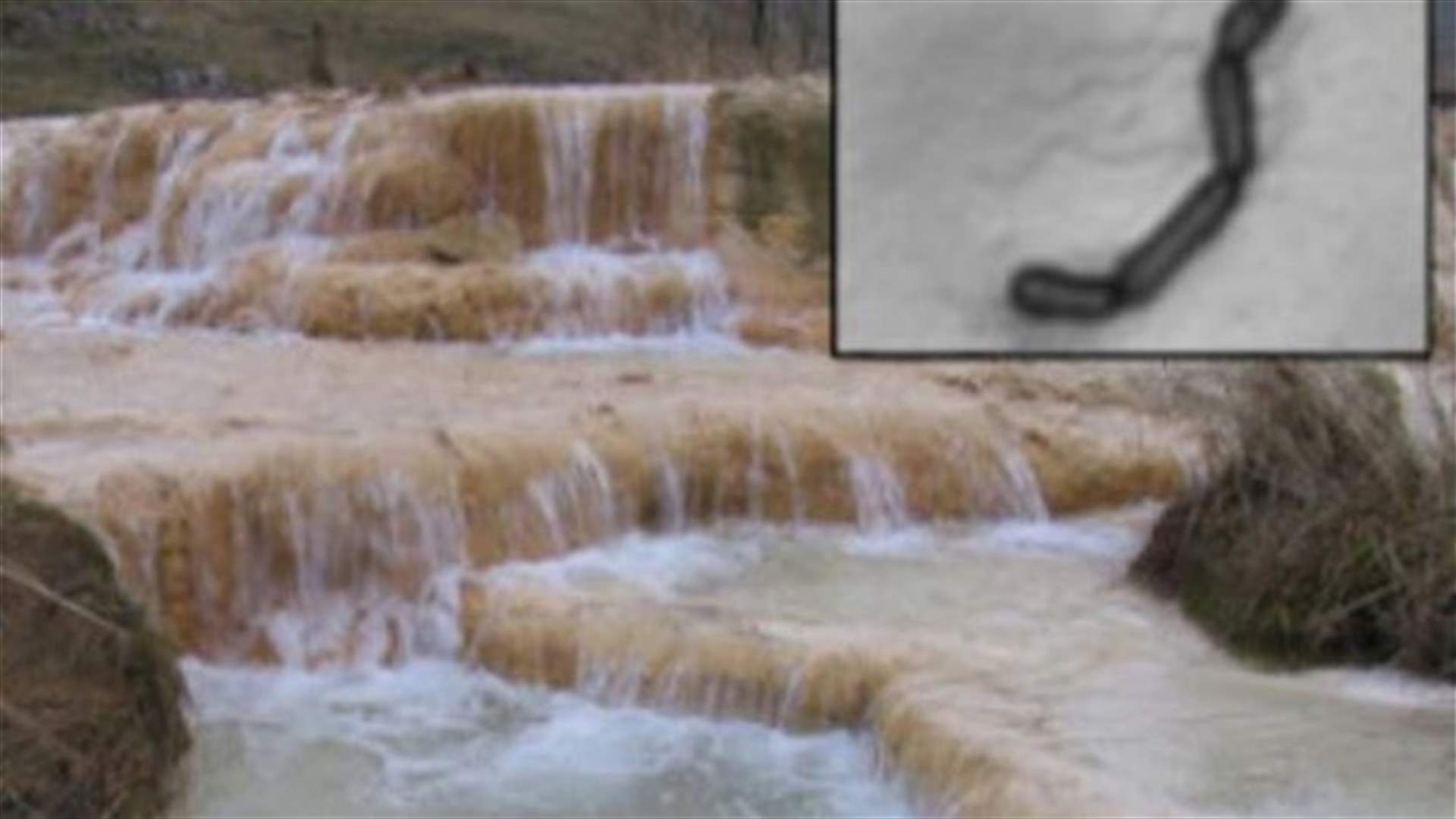 إنجاز لبناني علمي في مجال الهندسة والعلوم الطبيعية