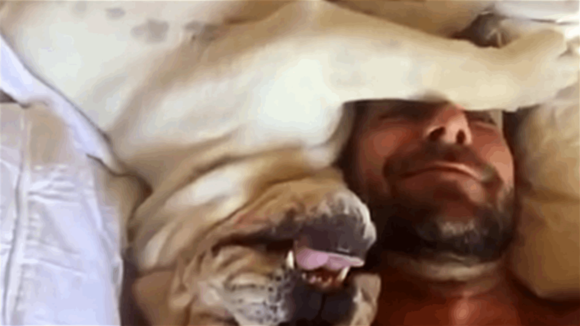 No One Believed Him When He Said His Dog Did This In The Morning!
