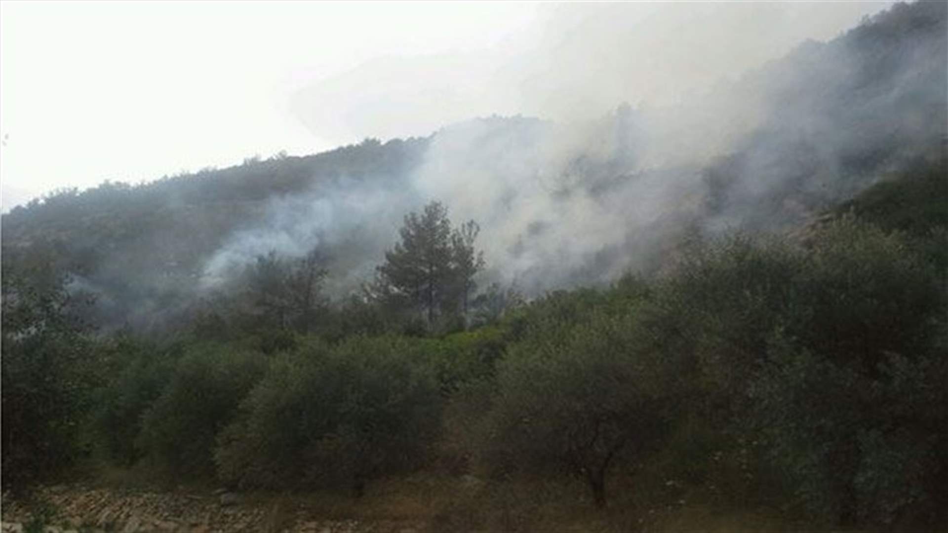 Huge fire erupts in Akkar forest 