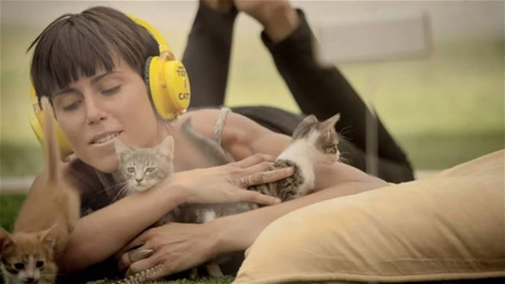 [VIDEO] Kitten Therapy To Ease Your Stress