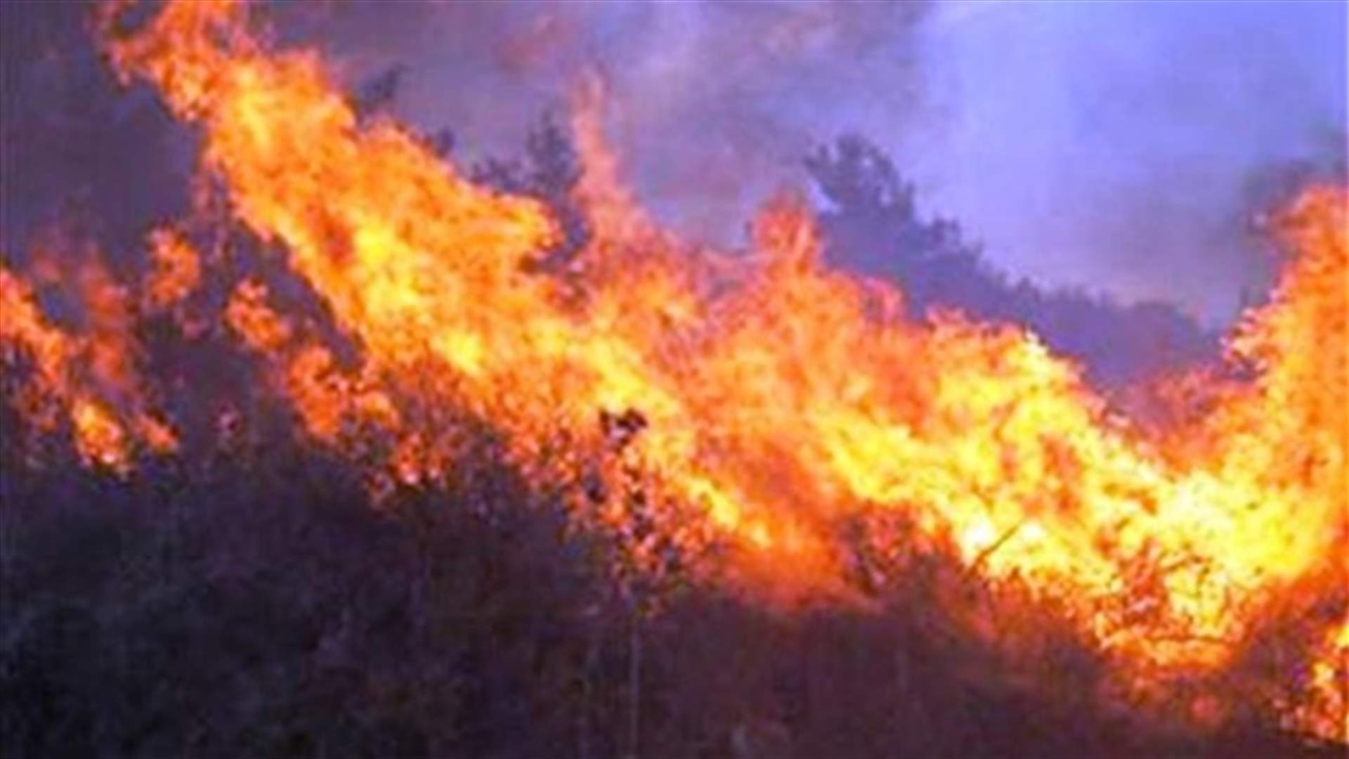 حريق هائل في منطقة الريحان-جزين