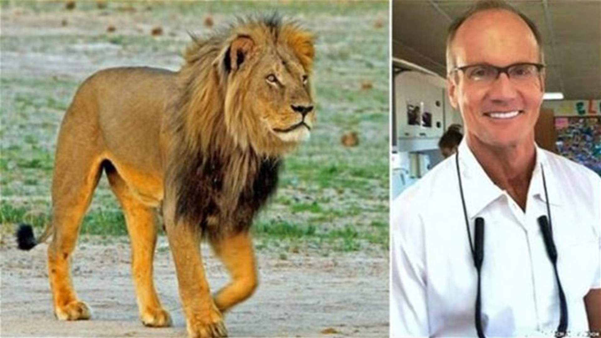 قتل الأسد سيسيل .. فكم سنة سيحاكم ؟ 