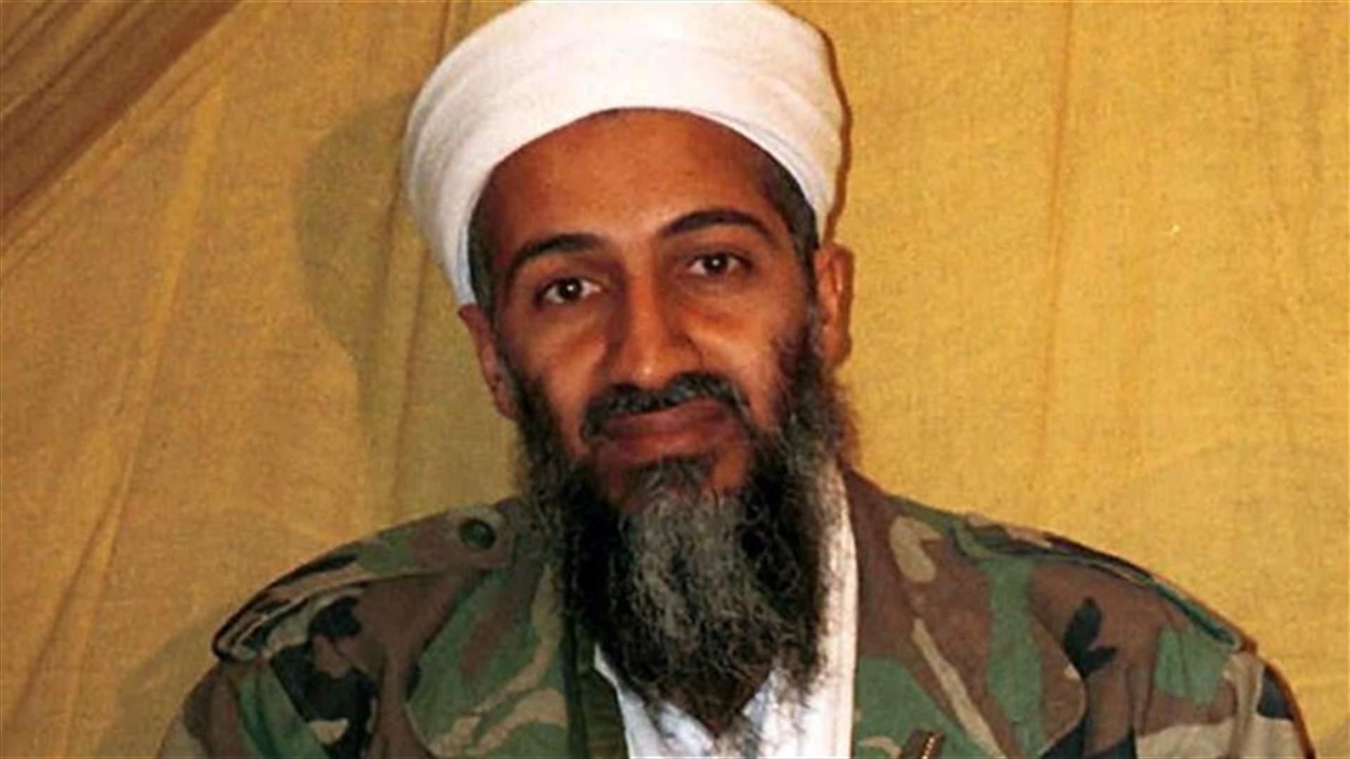Three members of bin Laden family killed in UK jet crash-police