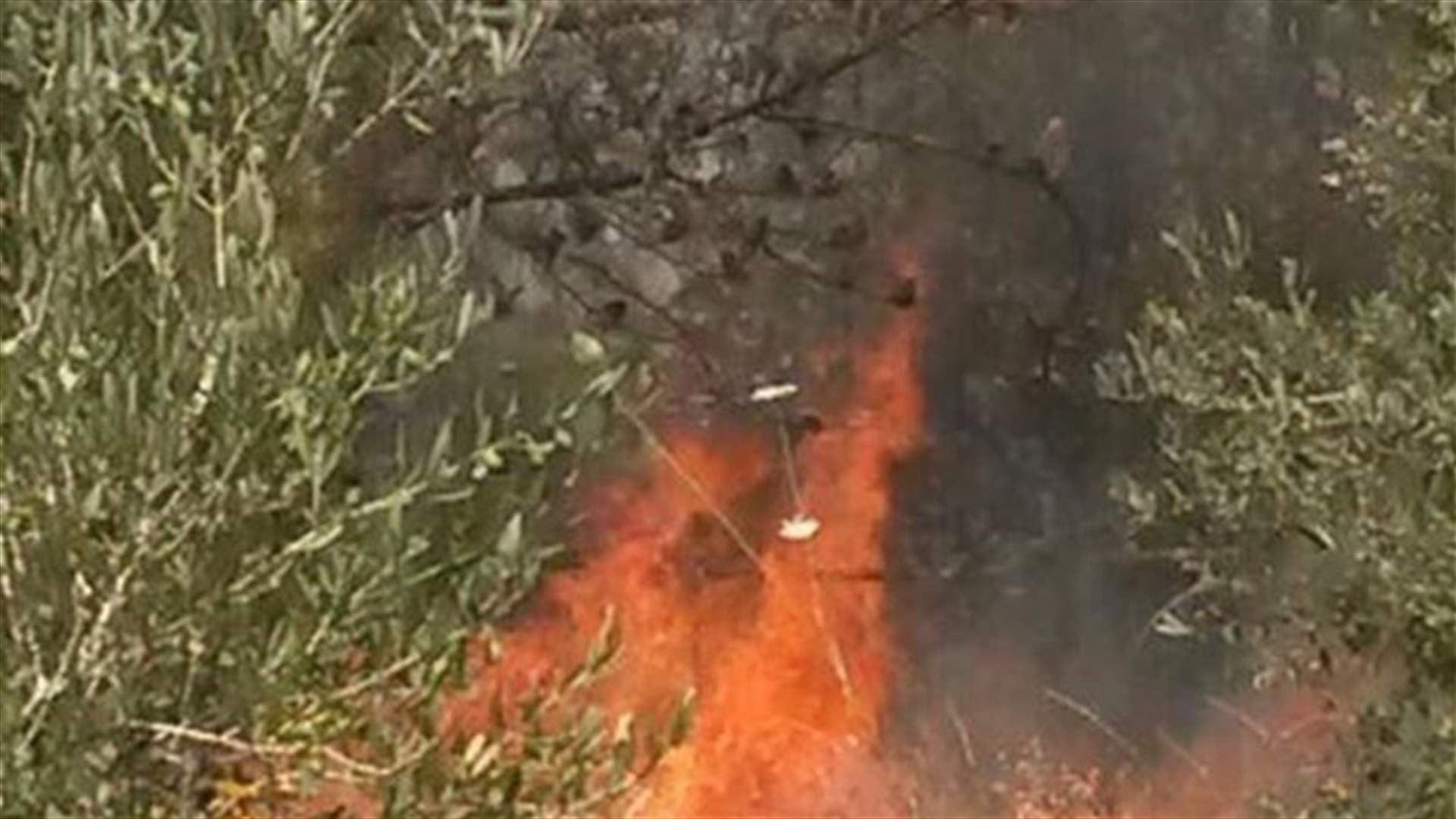 تجدد الحريق في احراج بينو واخماد حريق في عمشيت