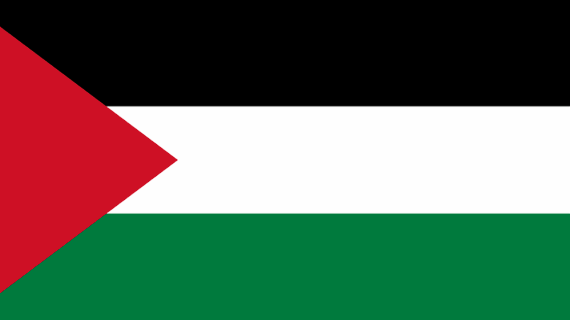 توقيف زعيم مجموعة يهودية متطرفة على خلفية اعمال عنف بحق الفلسطينيين