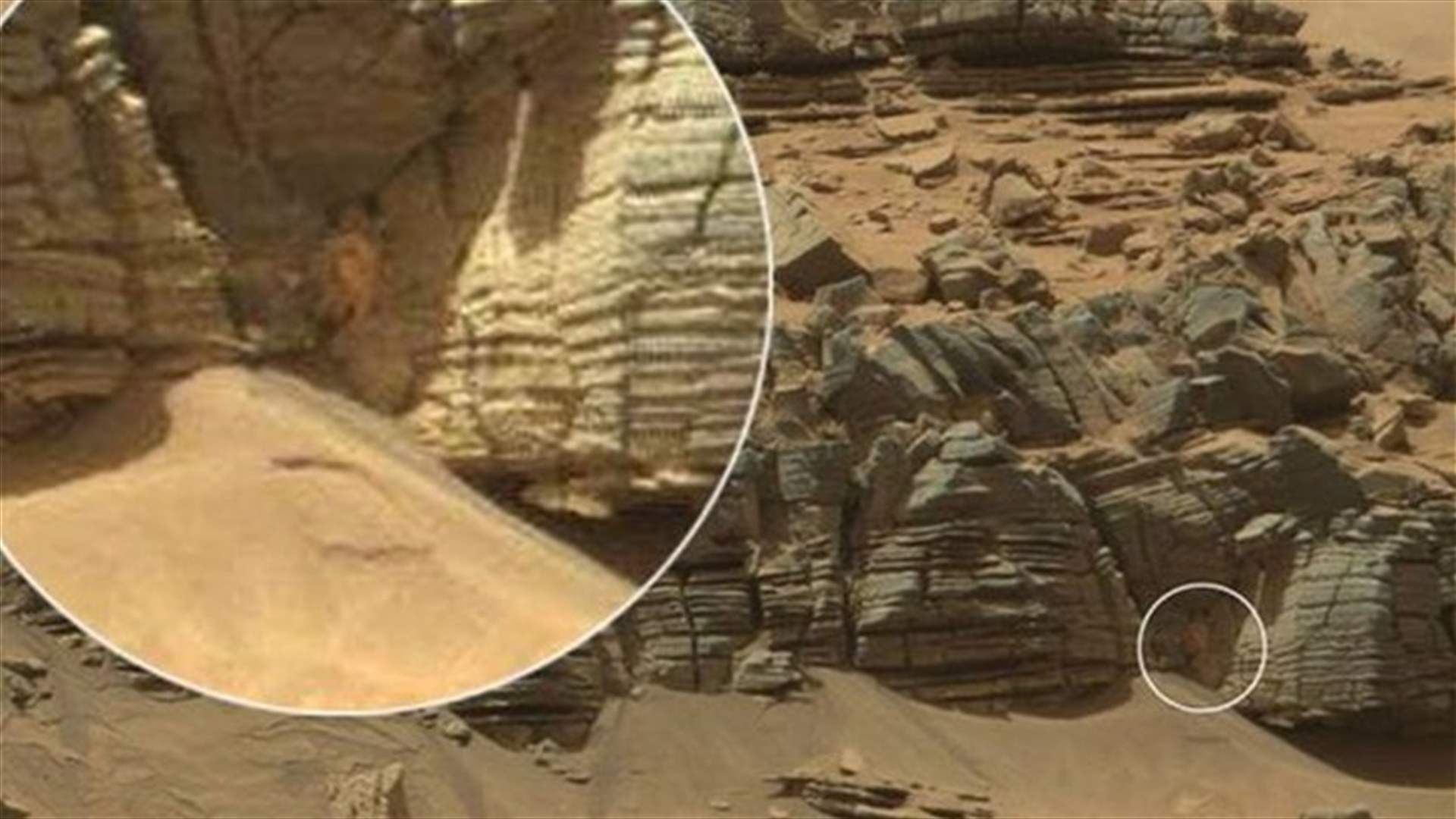ناسا ترصد "سلطعون فضائي" على كوكب المريخ