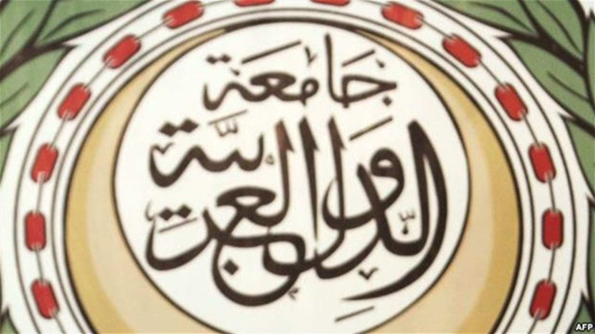 لجنة مبادرة السلام العربية تطالب بحماية دولية للفلسطينيين