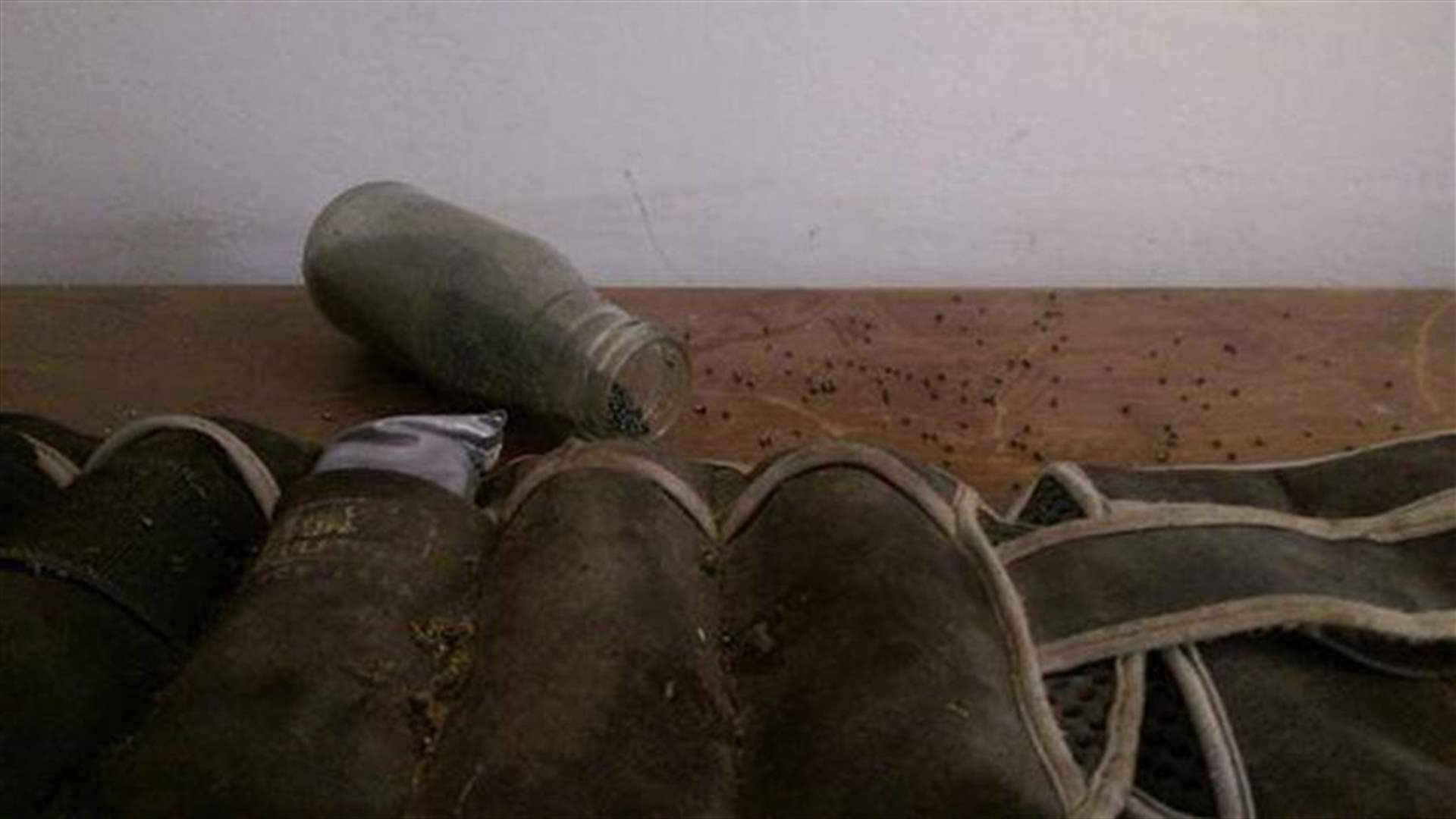 بالصور - صيد ثمين للأمن العام بحي الوسطاني بصيدا 