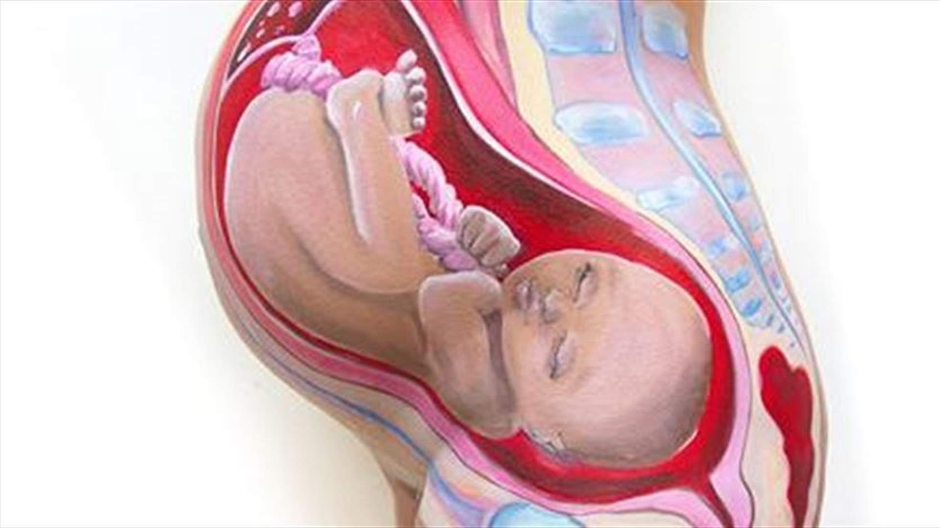 [PHOTOS] Anatomic Body Painting Shows You What’s Inside Your Belly When You’re Pregnant