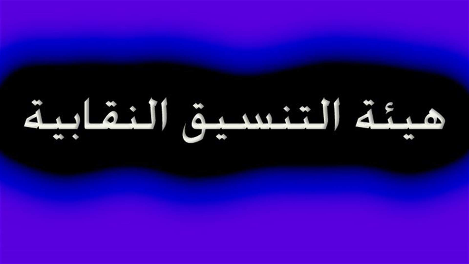 هيئة التنسيق: الاعتصام في وزارة البيئة تصرف منفرد ومدان