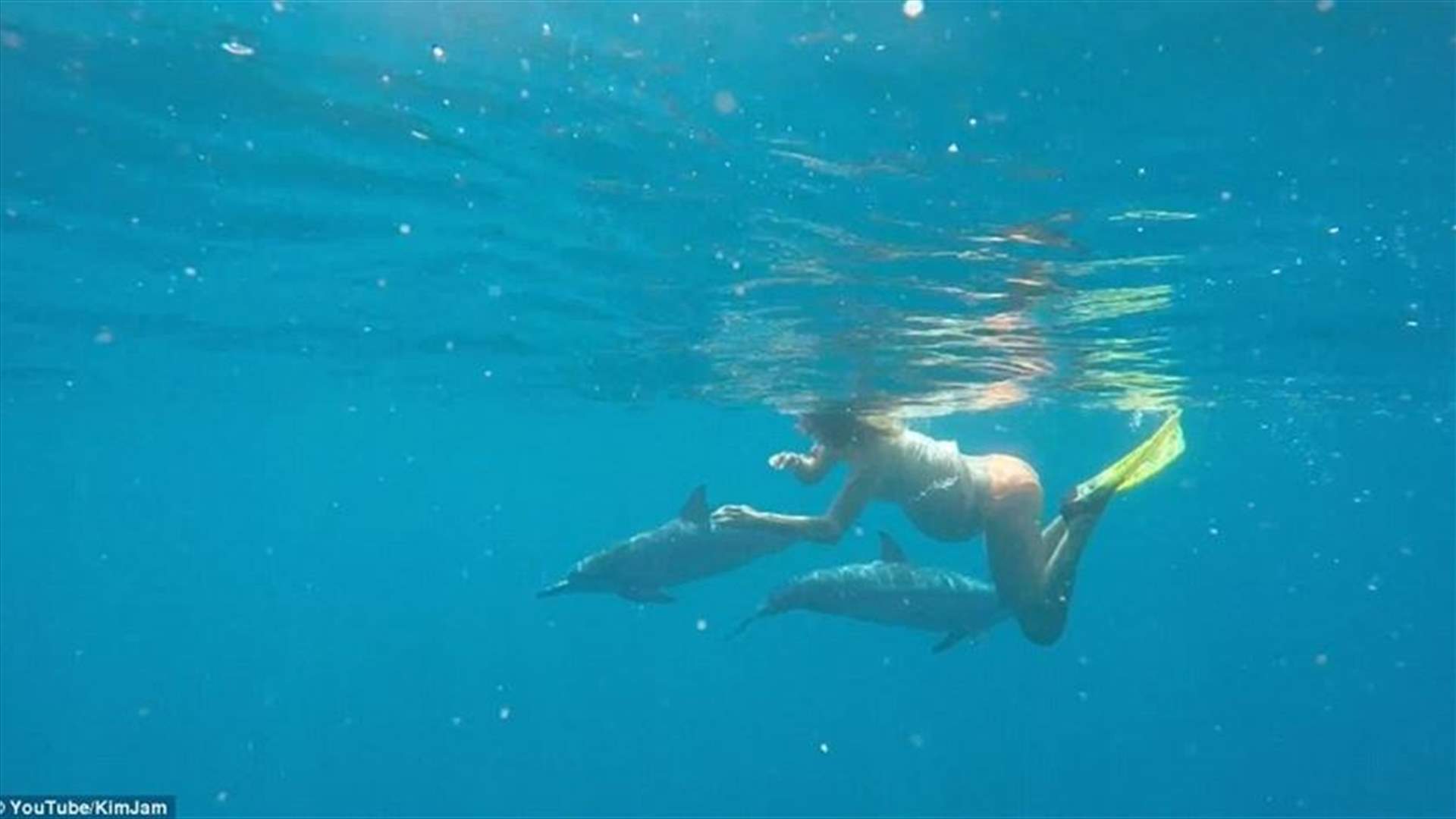 امرأة حامل تنوي أن تضع مولودها في البحر بمساعدة الدلفين