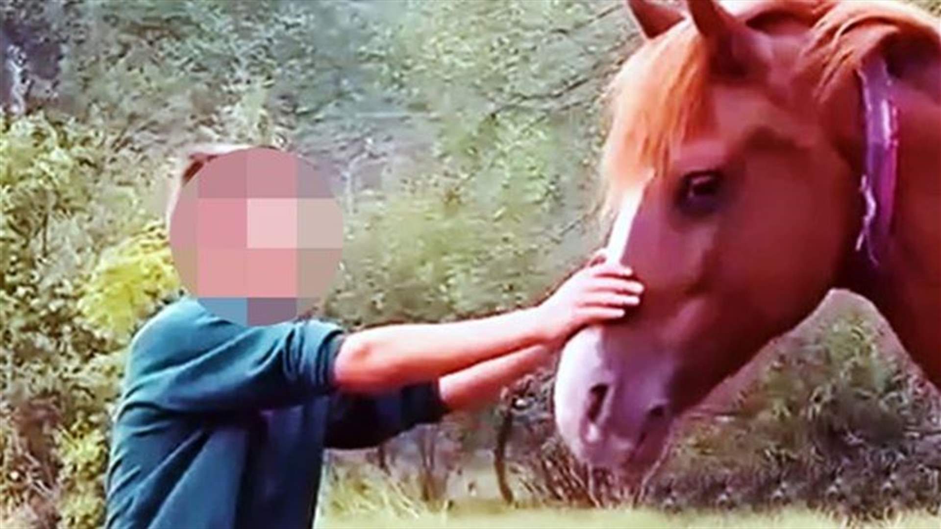 حادثة غريبة ضحيتها طفل في السادسة