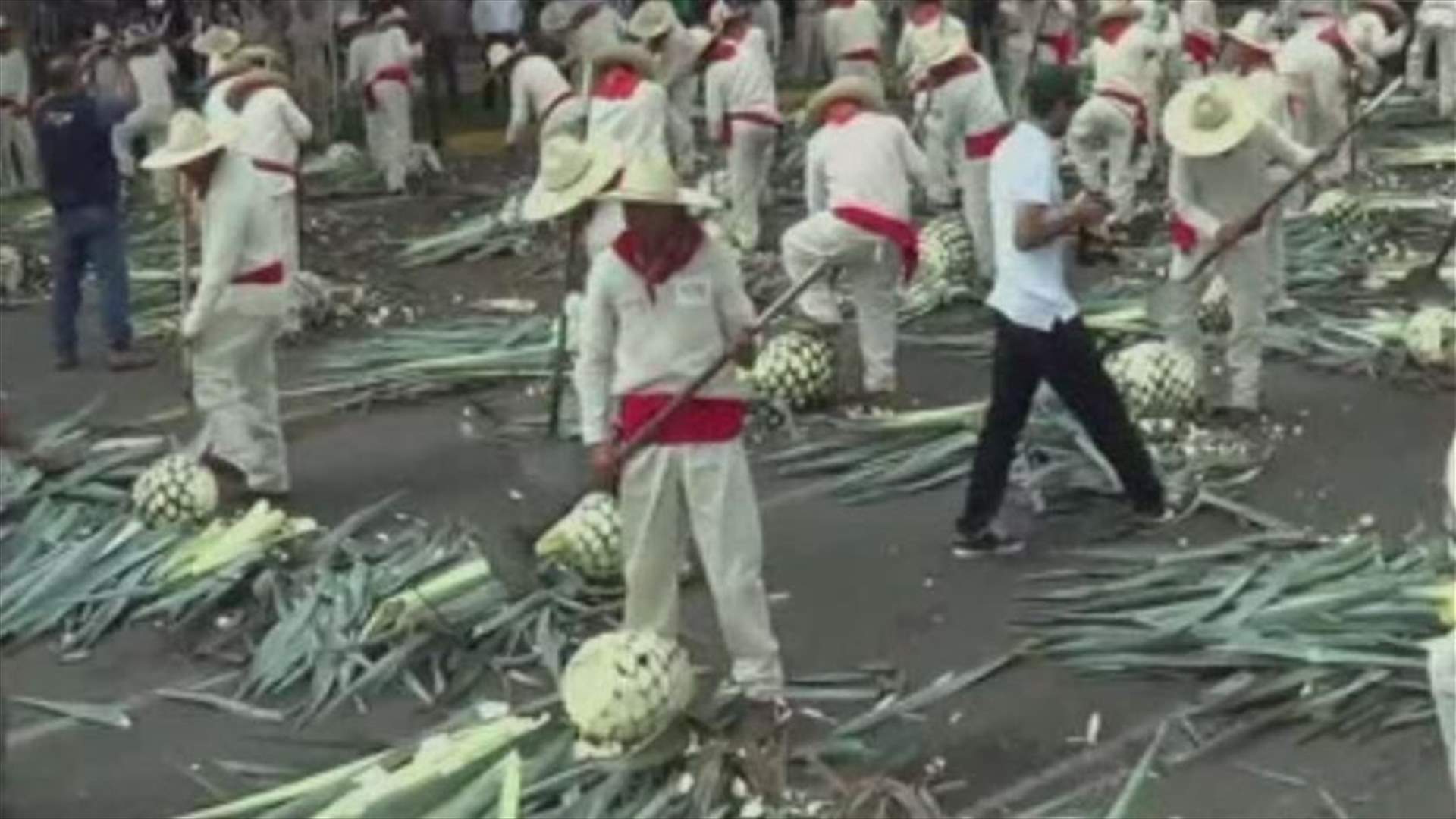 Tequila...تدخل المكسيك كتاب غينيس 