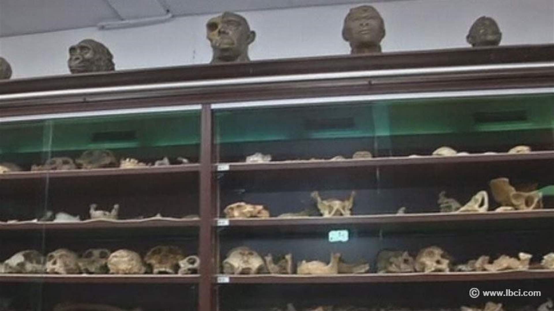 اكتشاف انواع جديدة من اشباه الانسان القديم في افريقيا الجنوبية 