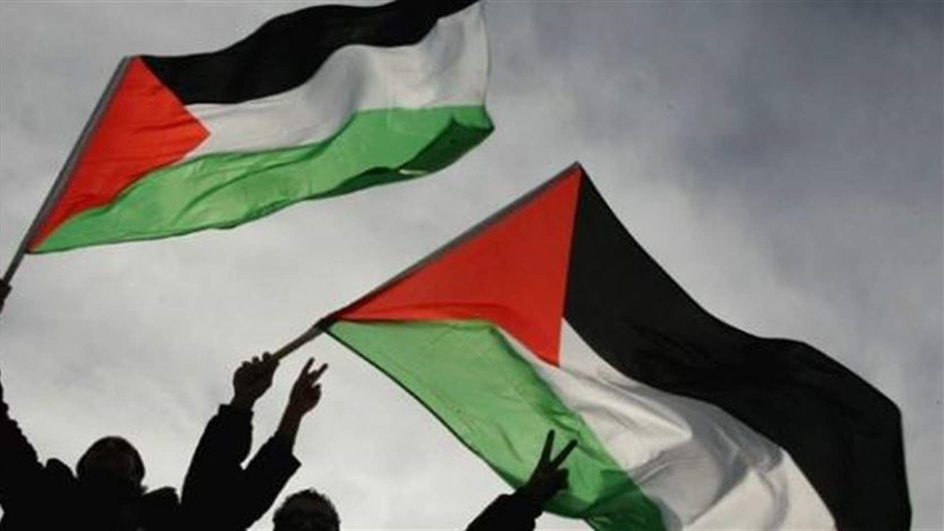 علم فلسطين في الأمم المتحدة