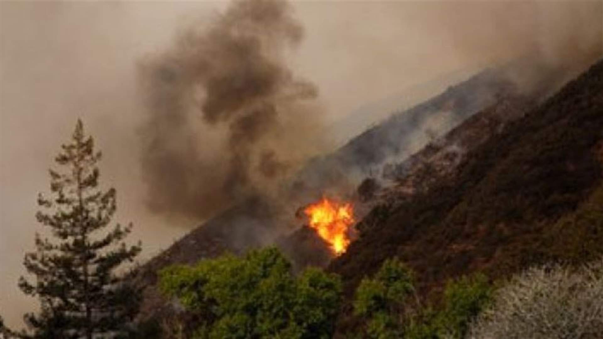 اعلان حالة الطوارئ بولاية كاليفورنيا بسبب حرائق هائلة