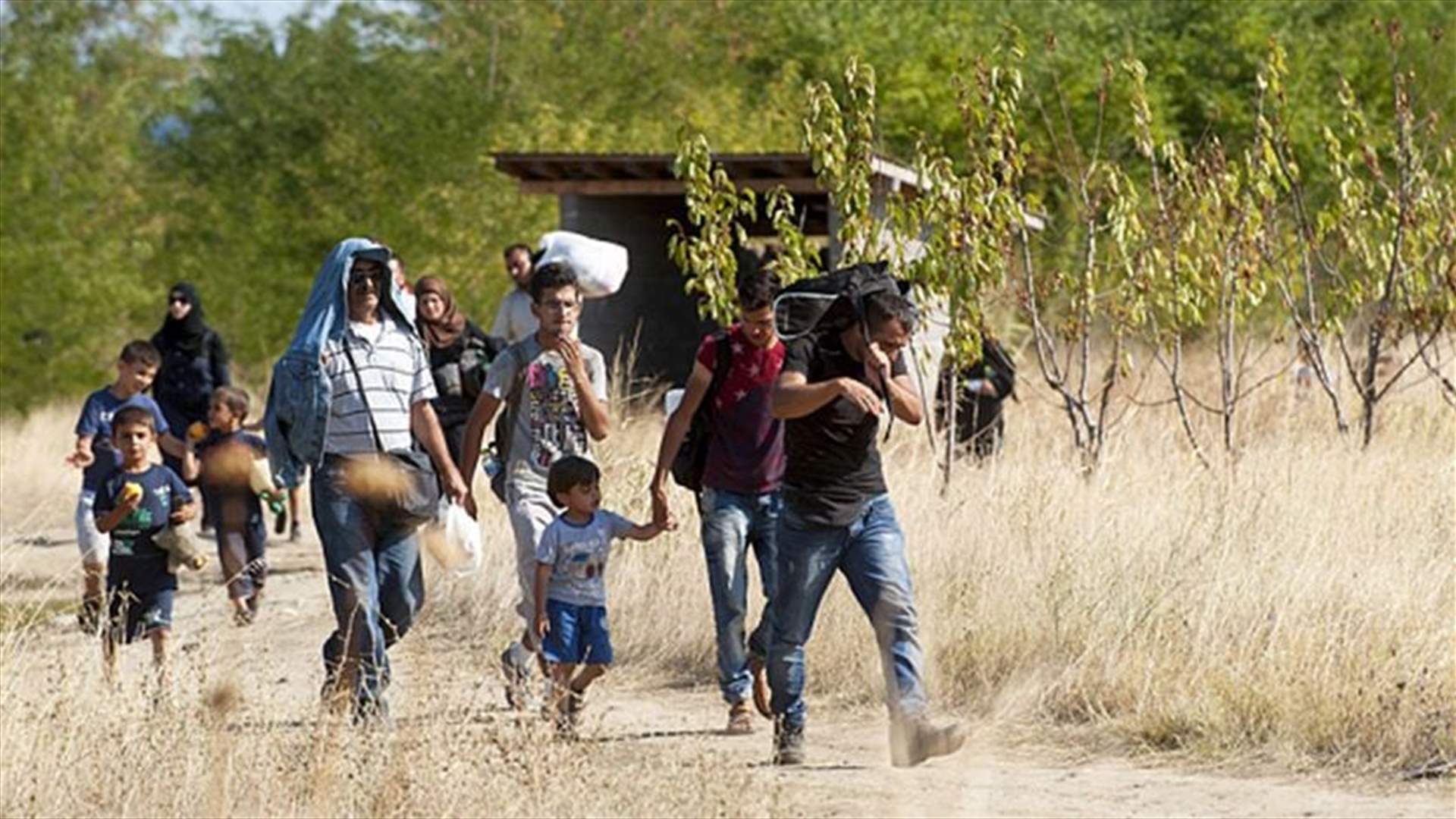 Migrants walk through fields towards Serbian-Croatian border -witness