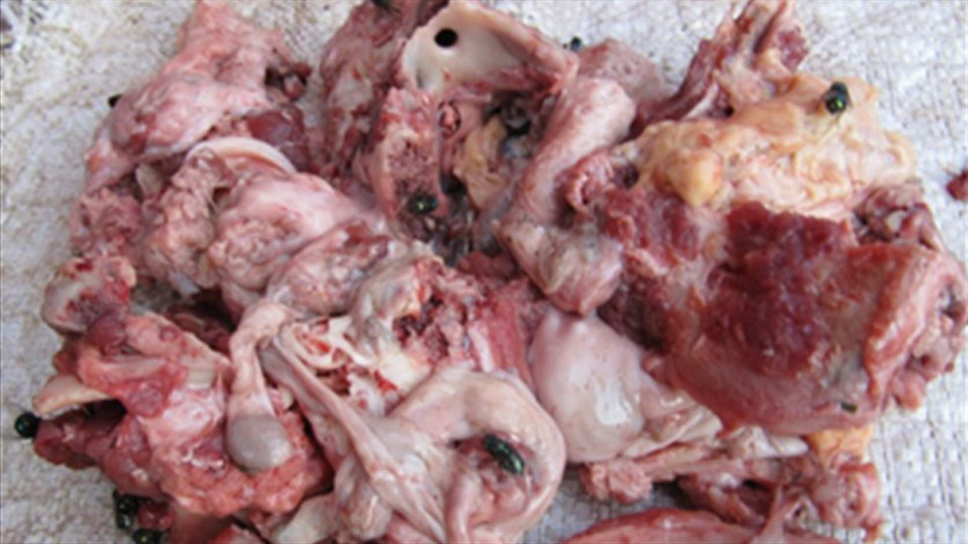 Spoiled meat scandal continues