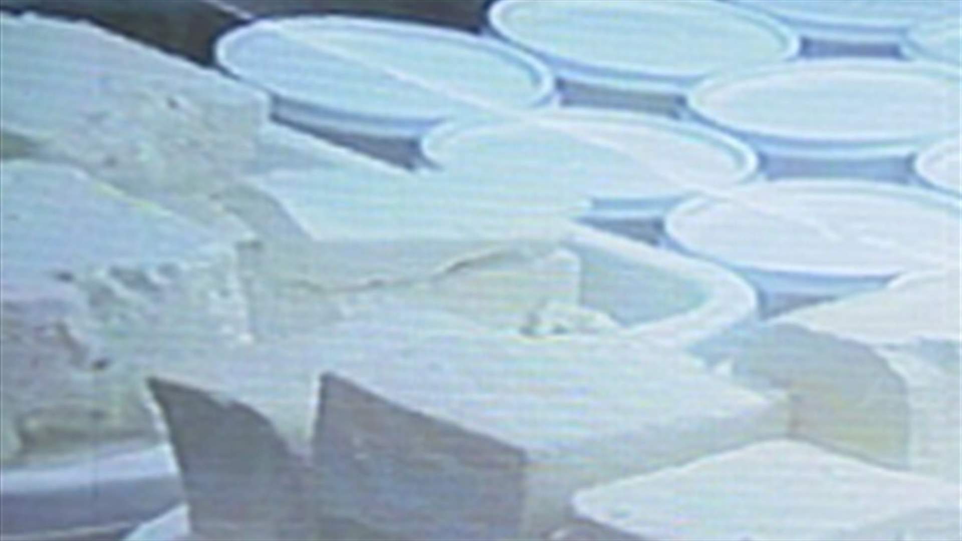 Meat and fish weren’t enough, dairy products make their rotten debut