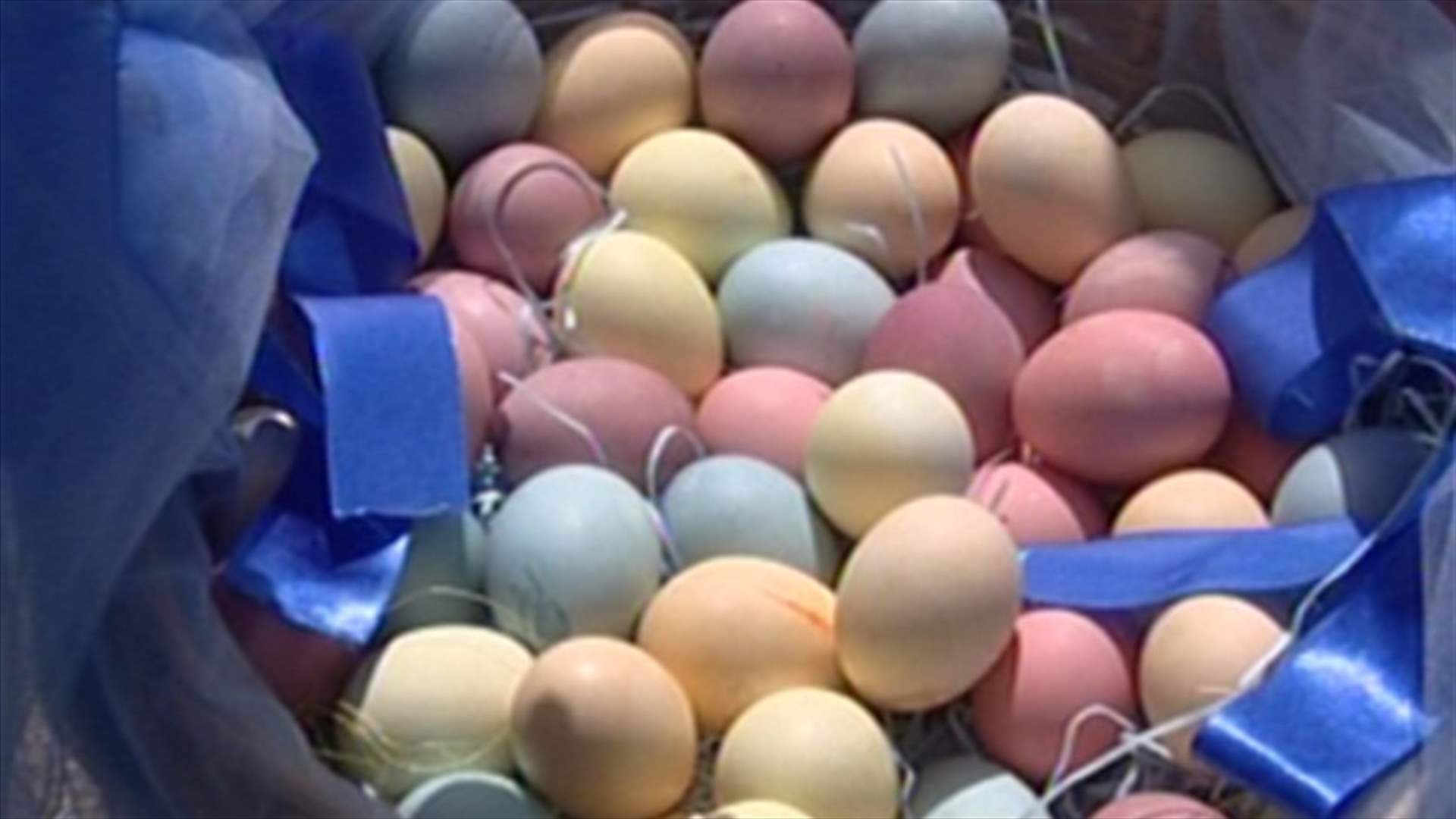 عادة "تفقيس" البيض لها أكثر من رواية