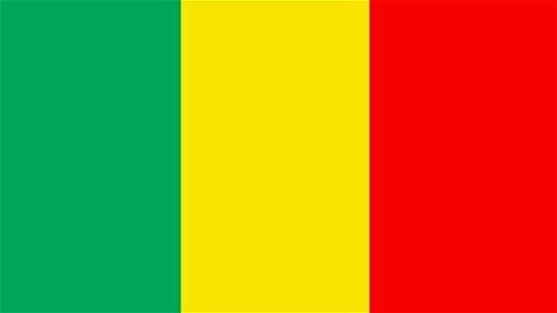 Mali's new interim president sworn in after coup